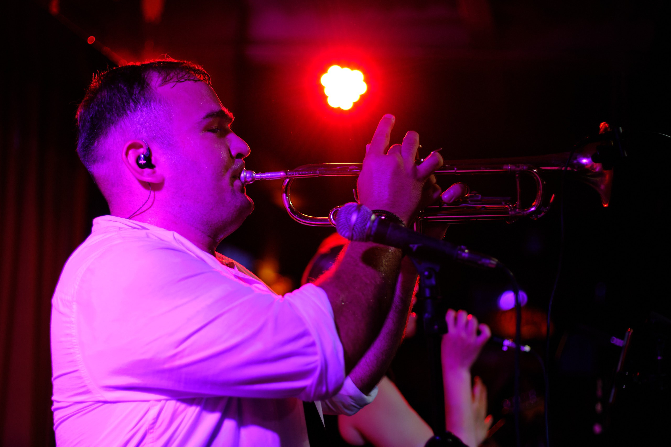 Hairy Lemon. Антон Ив