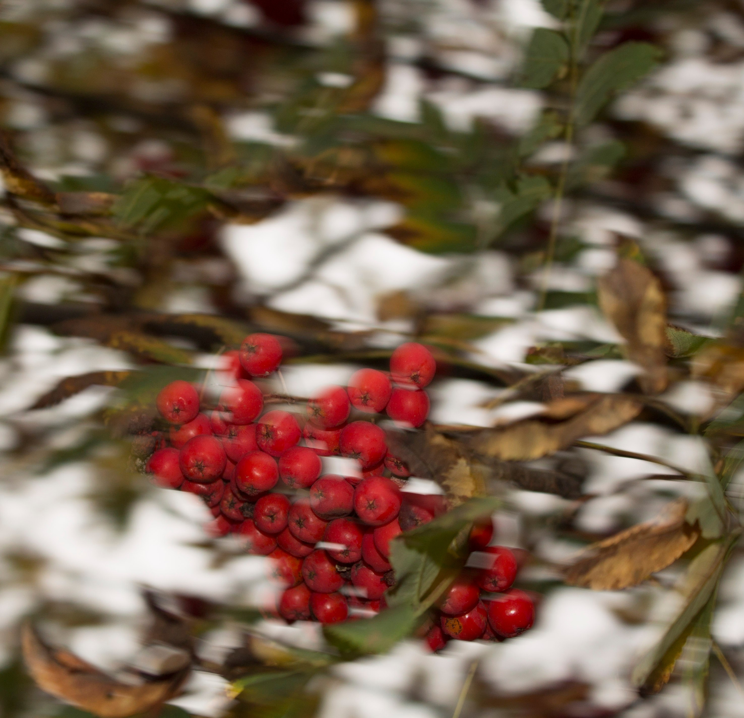 Мои первые работы. Фотограф из Москвы — DASHA NOVA | Авторская фотография в разных жанрах