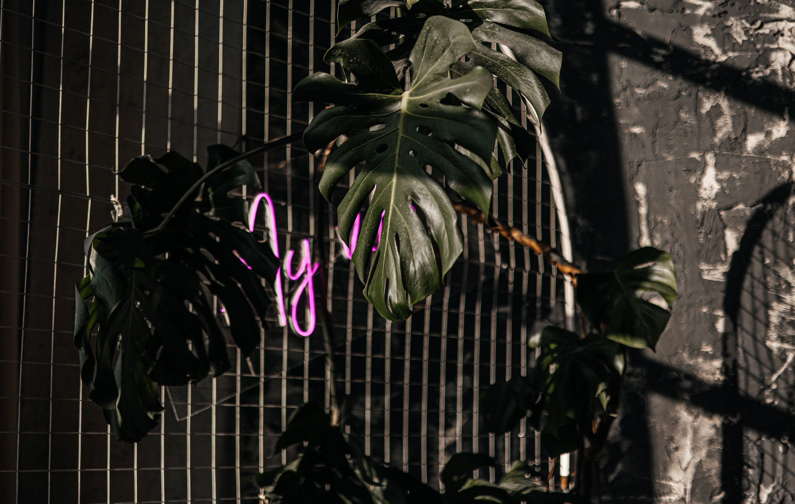 Фотостудии