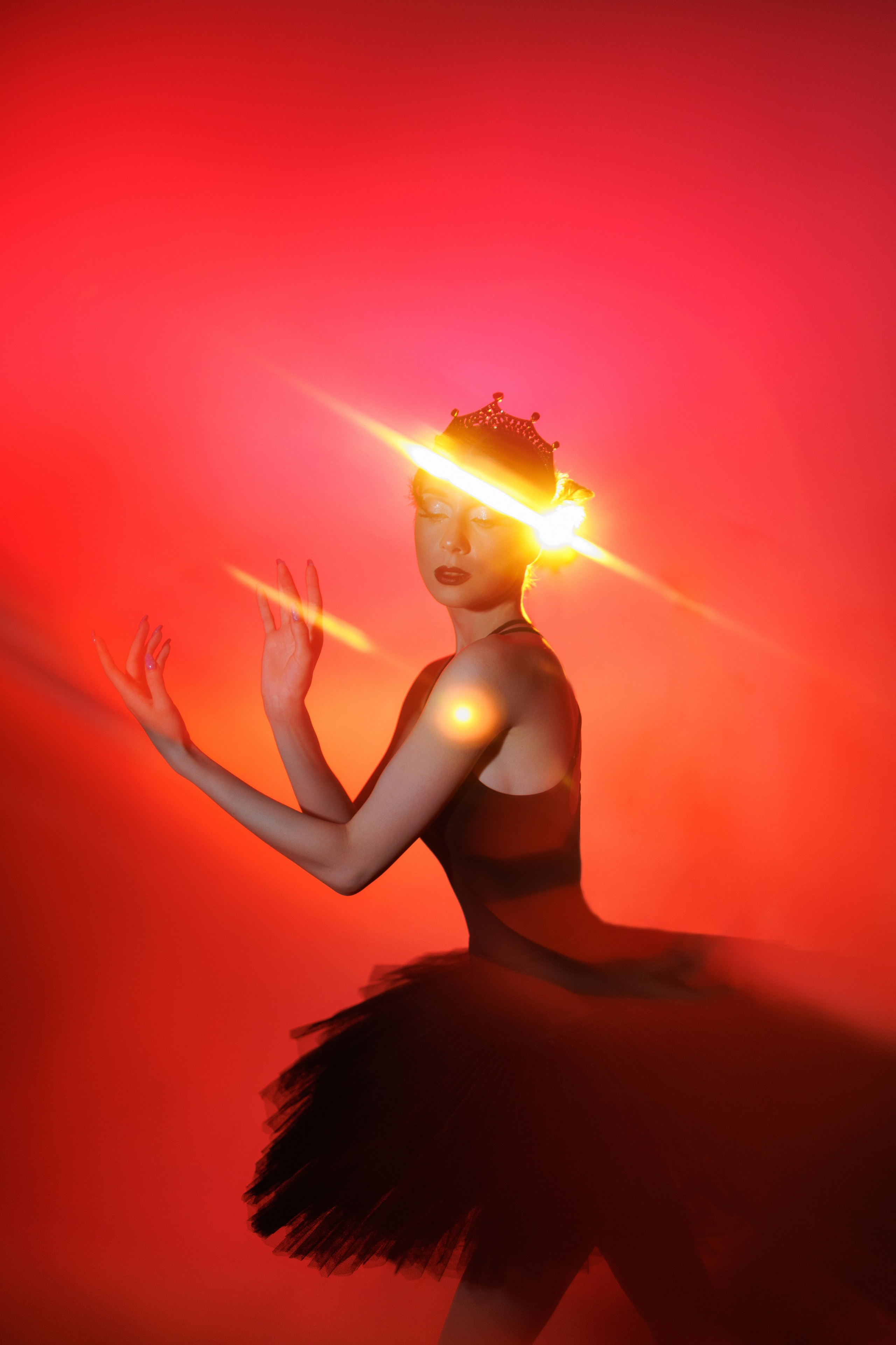 Черный лебедь. Марковкина КрисТина