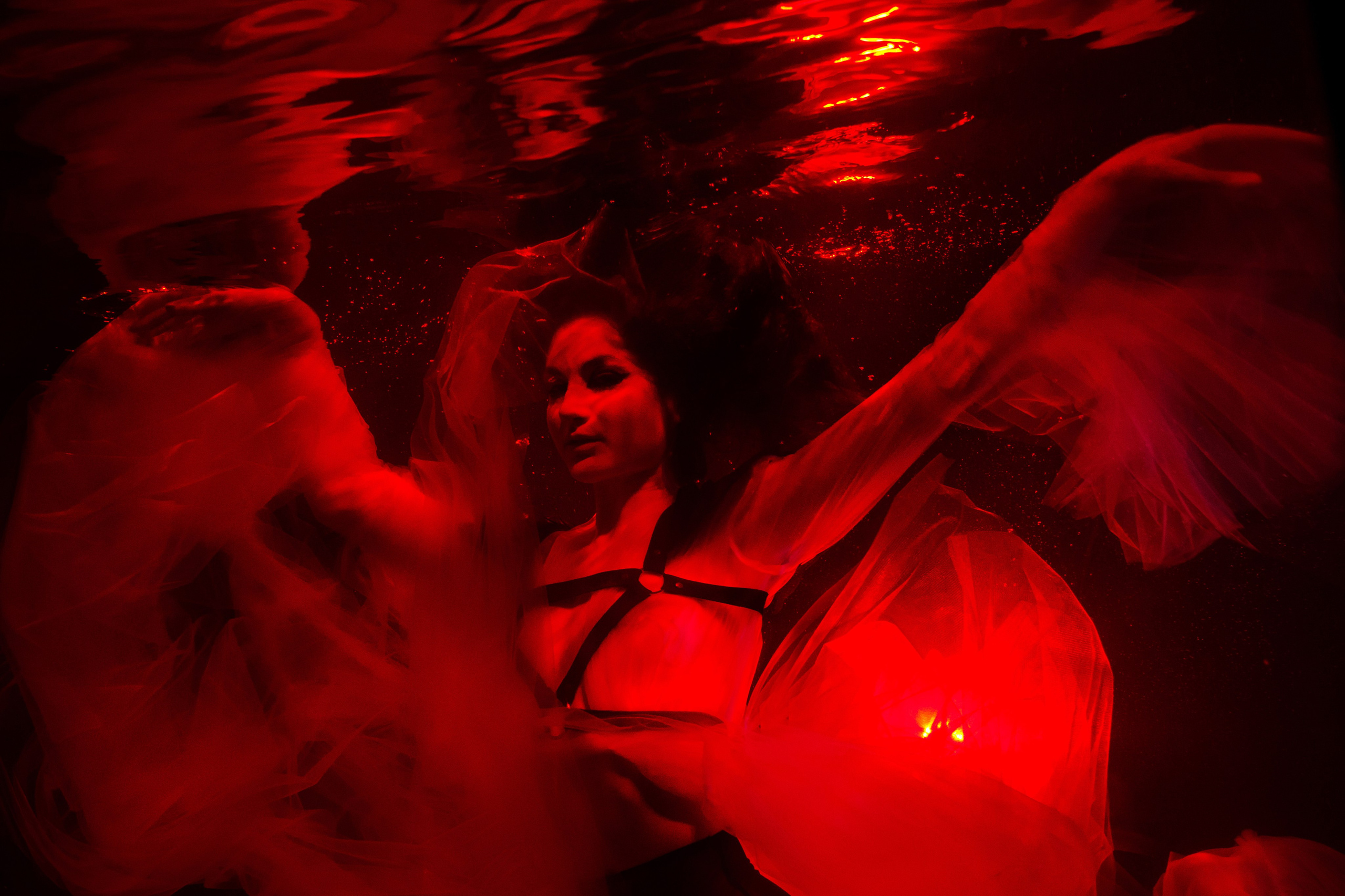 Аква общая. Марковкина КрисТина