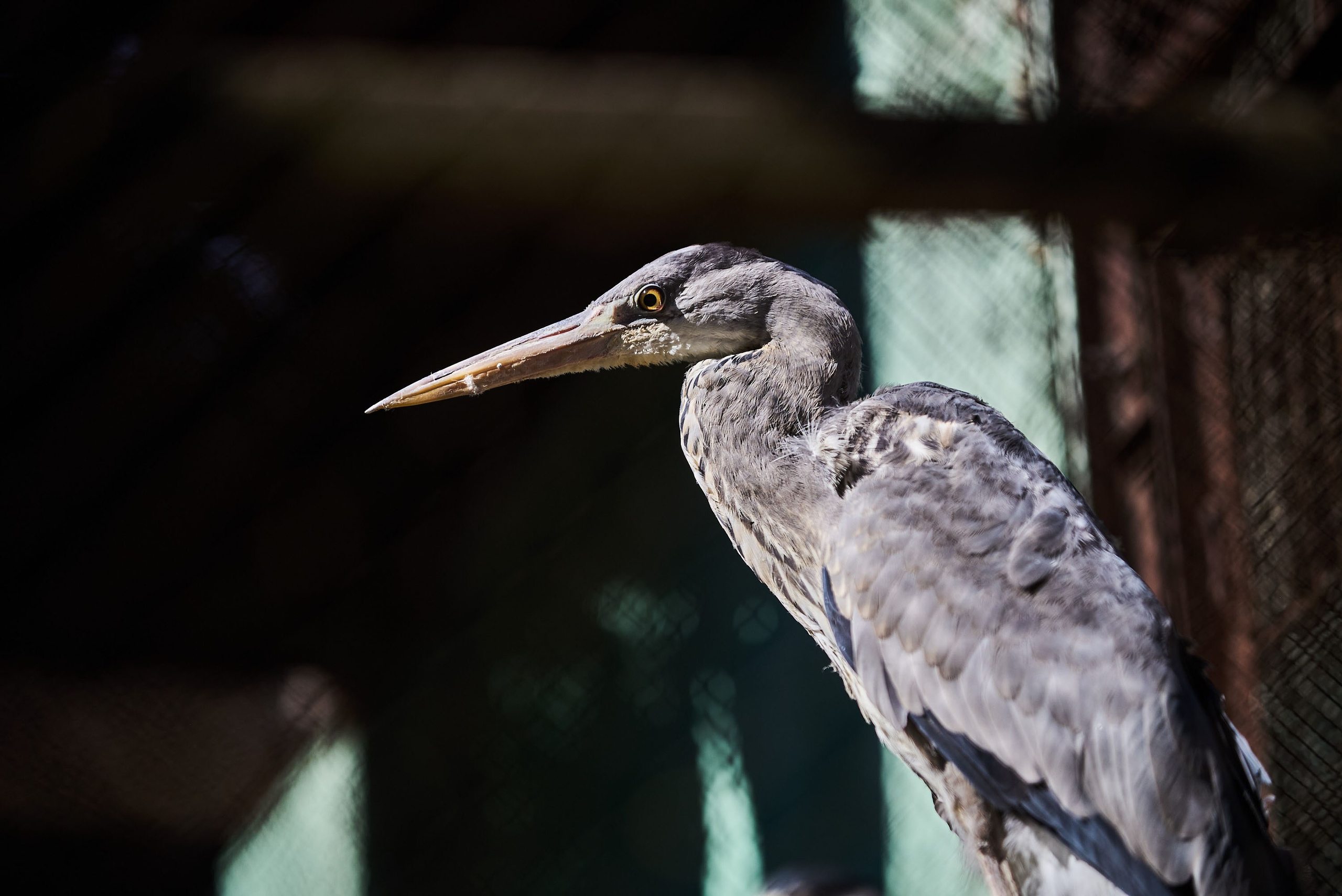 Зоопарк Иваново. Фотограф в Иваново: Каталожная съемка одежды и постельного белья, Wildberries