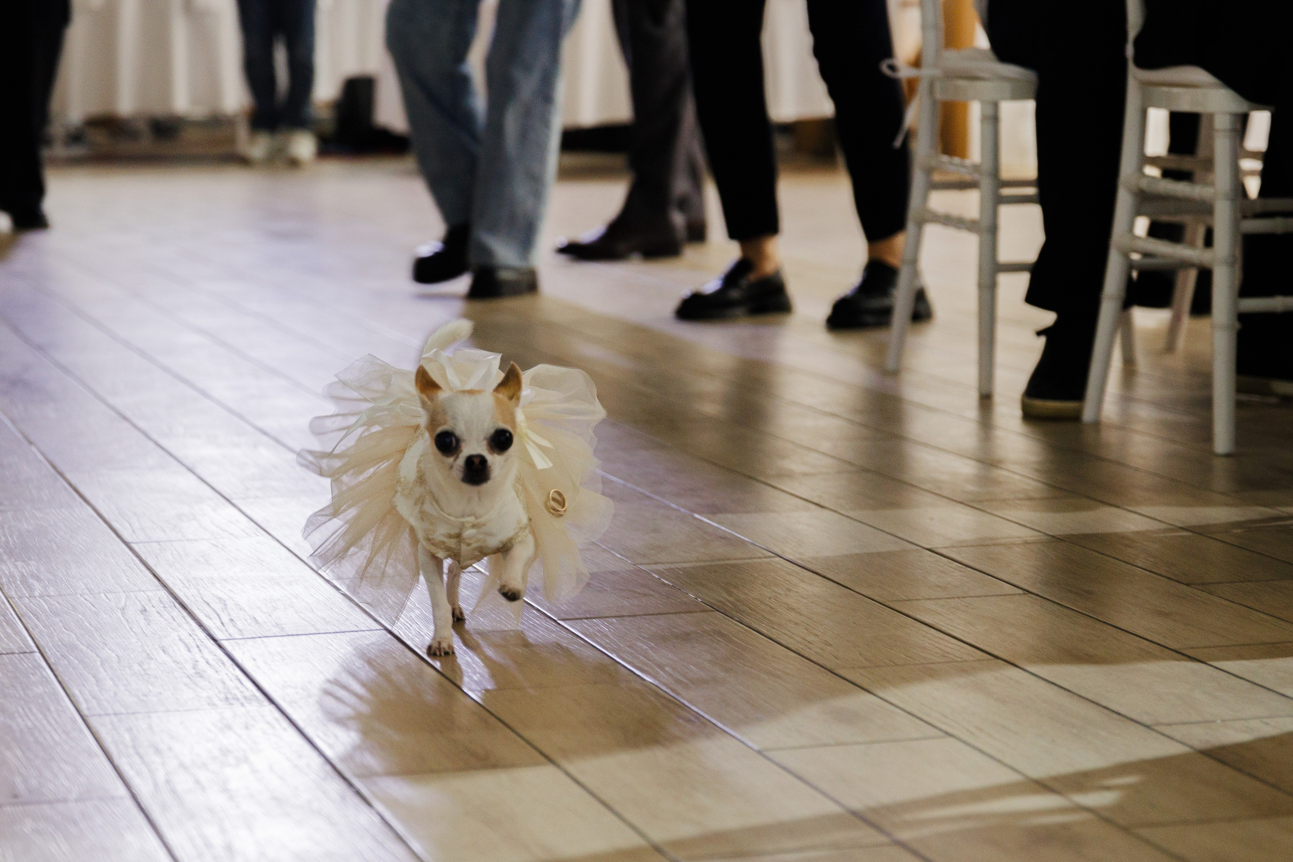Виталий и Юлия. Фотограф в Кирове Настя Шабардина