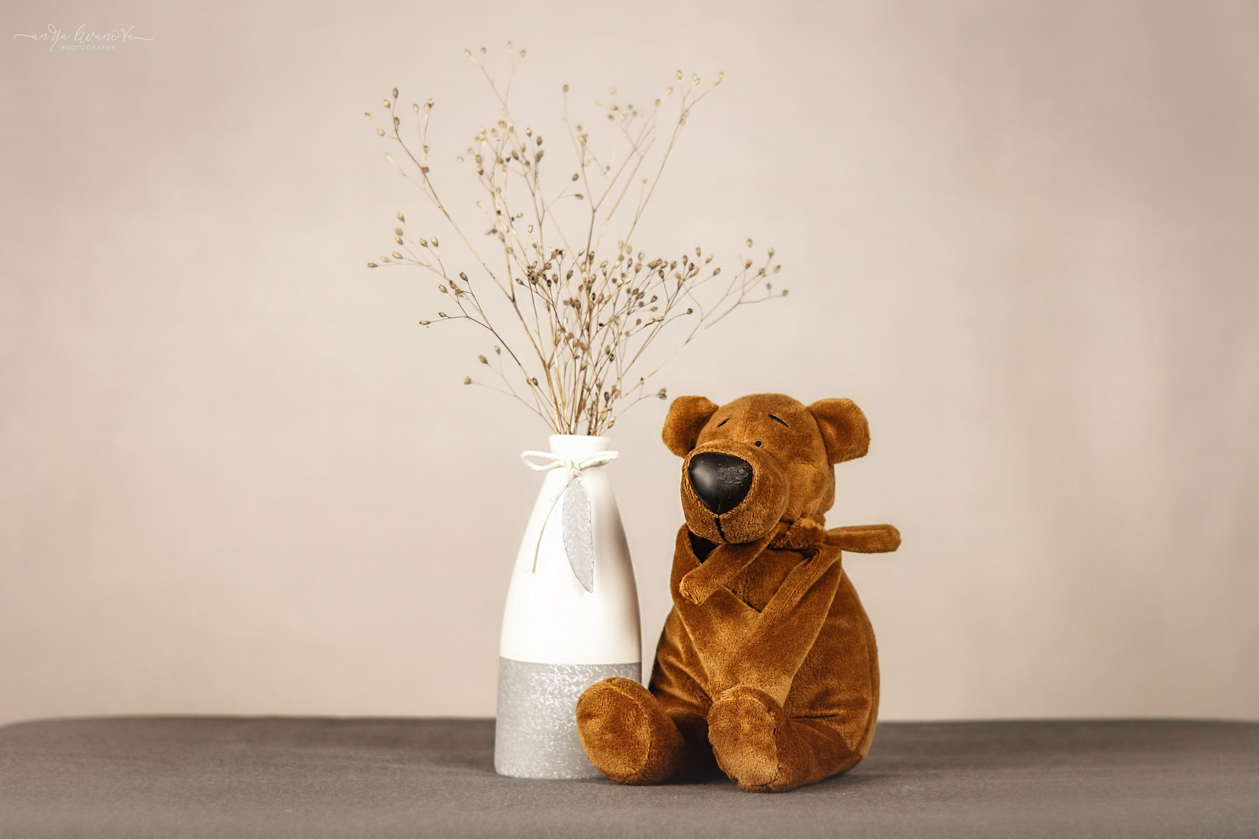 Светлый фон. Фотограф анималист Аня Ливанова | Рыбинск