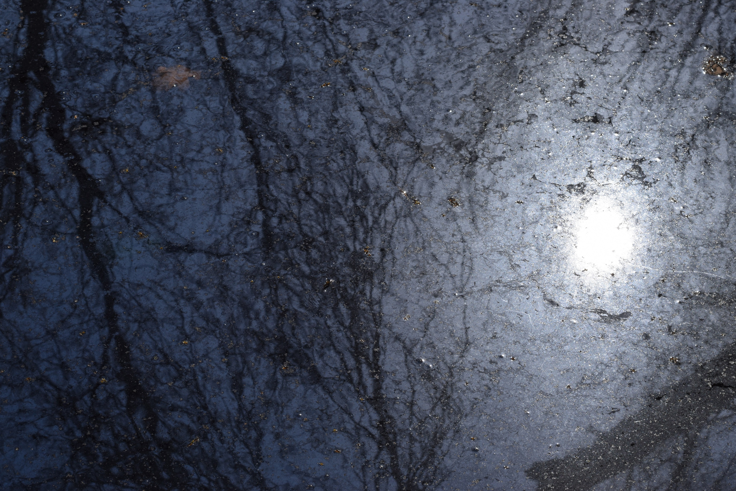 Надежда Пророкова «Добрый садовник». Private image