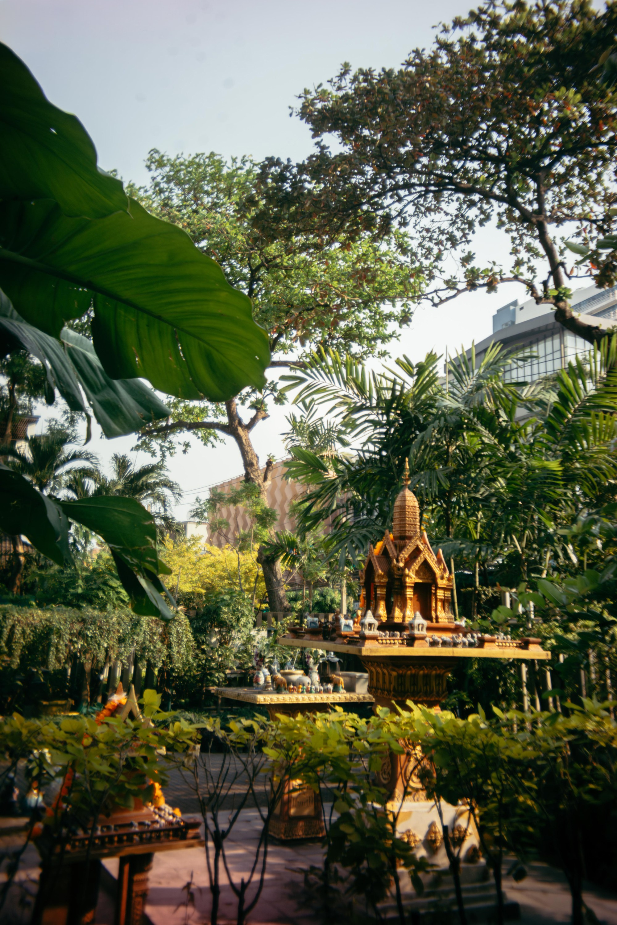 Шри + Бангкок. Фотограф Тбилиси Саша Мороз