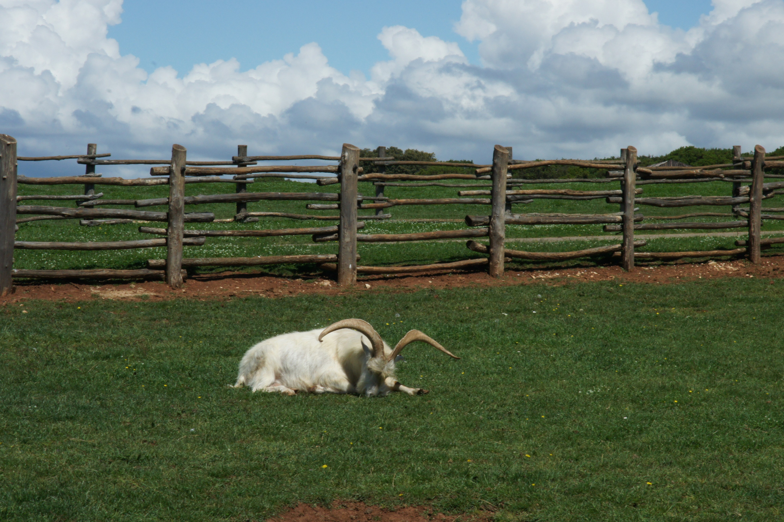 Хорватия. Главная