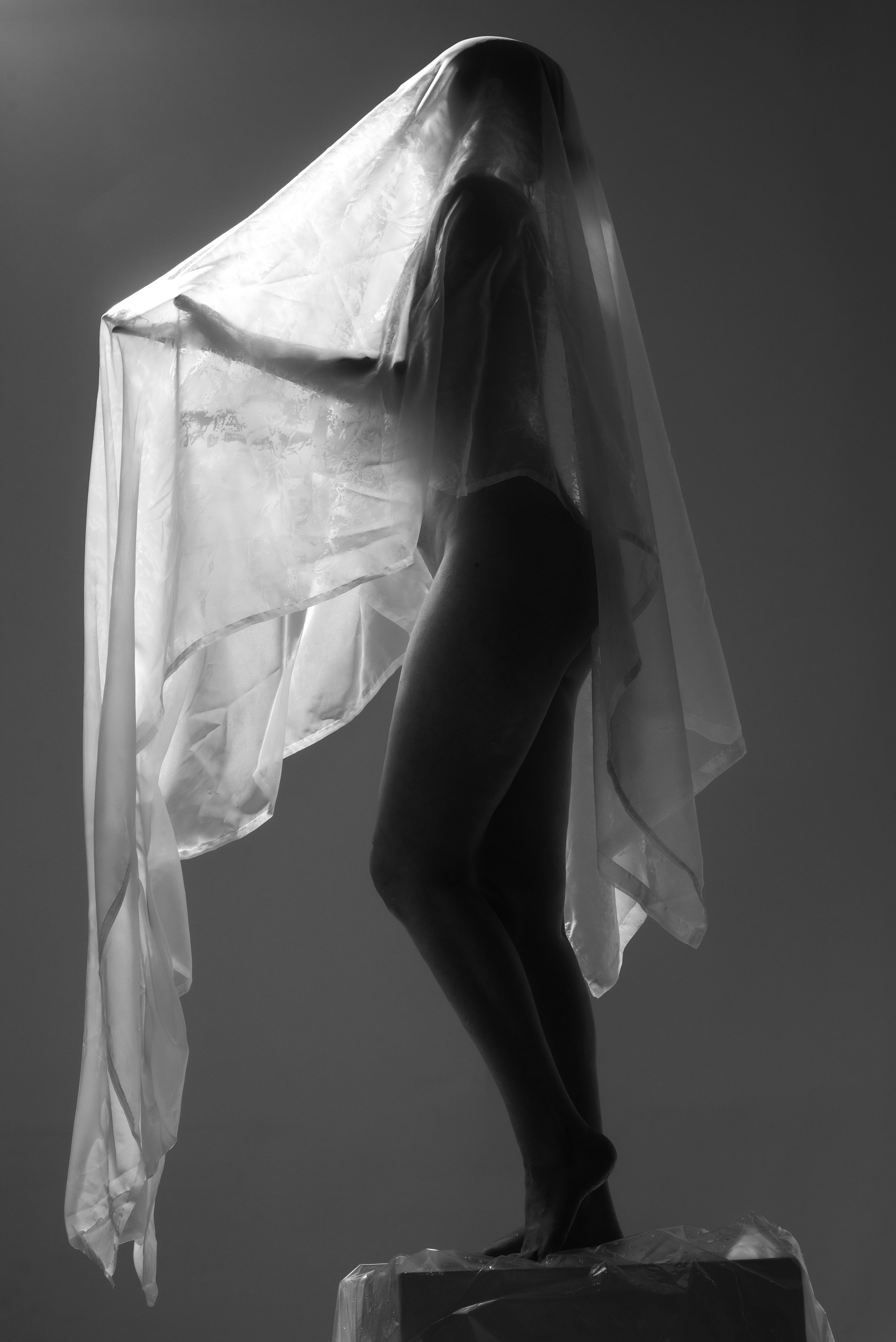 Фотосессия для экспертов. Фотосессия в белье и ню в Москве. Фотограф Нелля Ядовитая