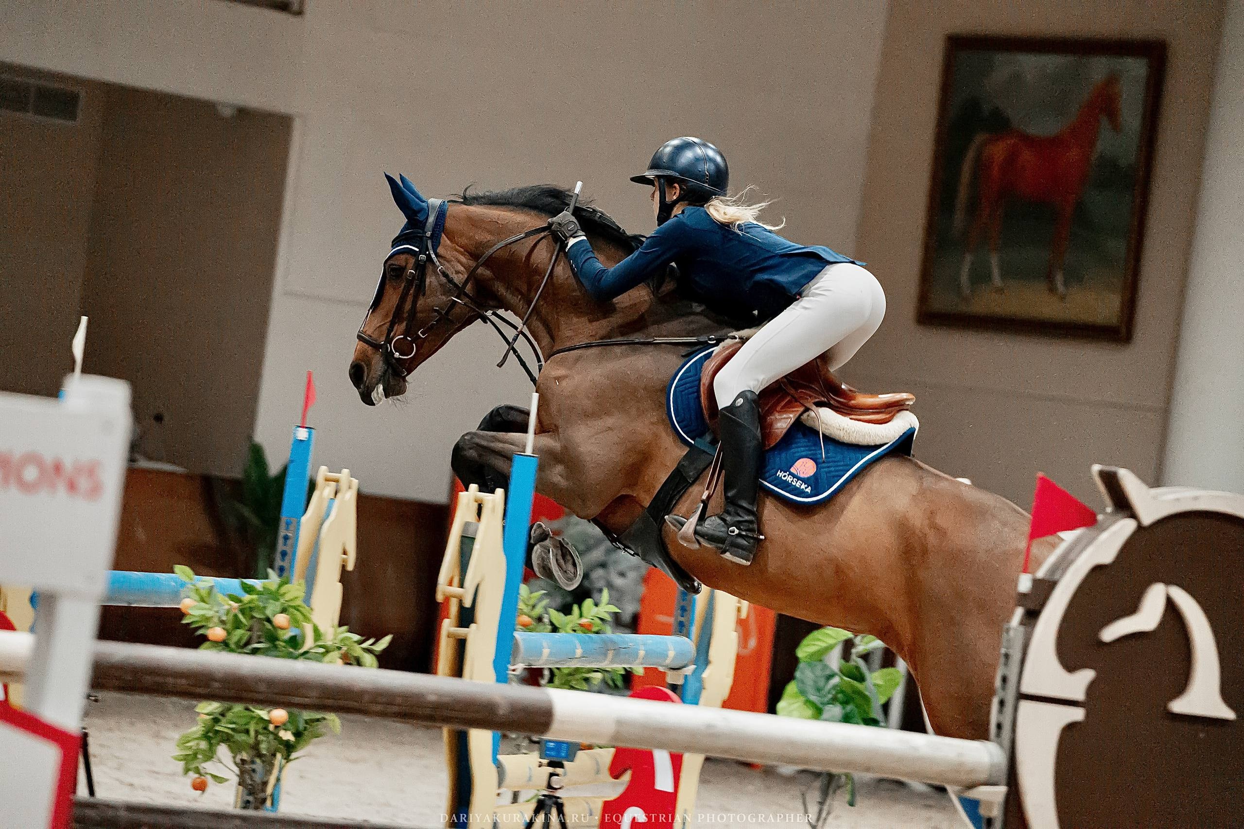 КЛУБНЫЕ СОРЕВНОВАНИЯ ПО КОНКУРУ «КОМАНДНЫЙ БУМ», 1 этап. Куракина Дарья • Конный фотограф