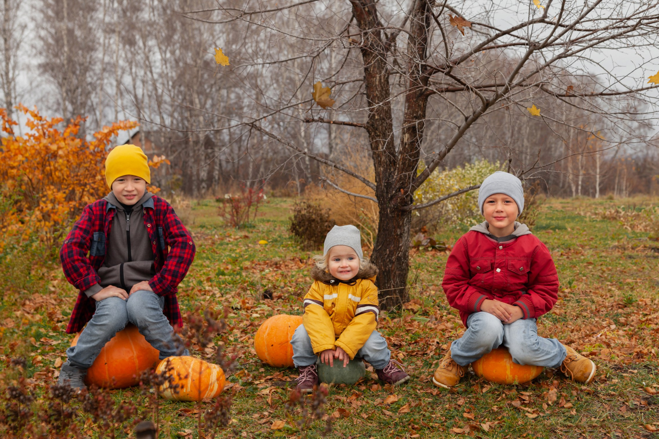 Осень. Детский и семейный фотограф в Бердске и Новосибирске Дарья Гребнева