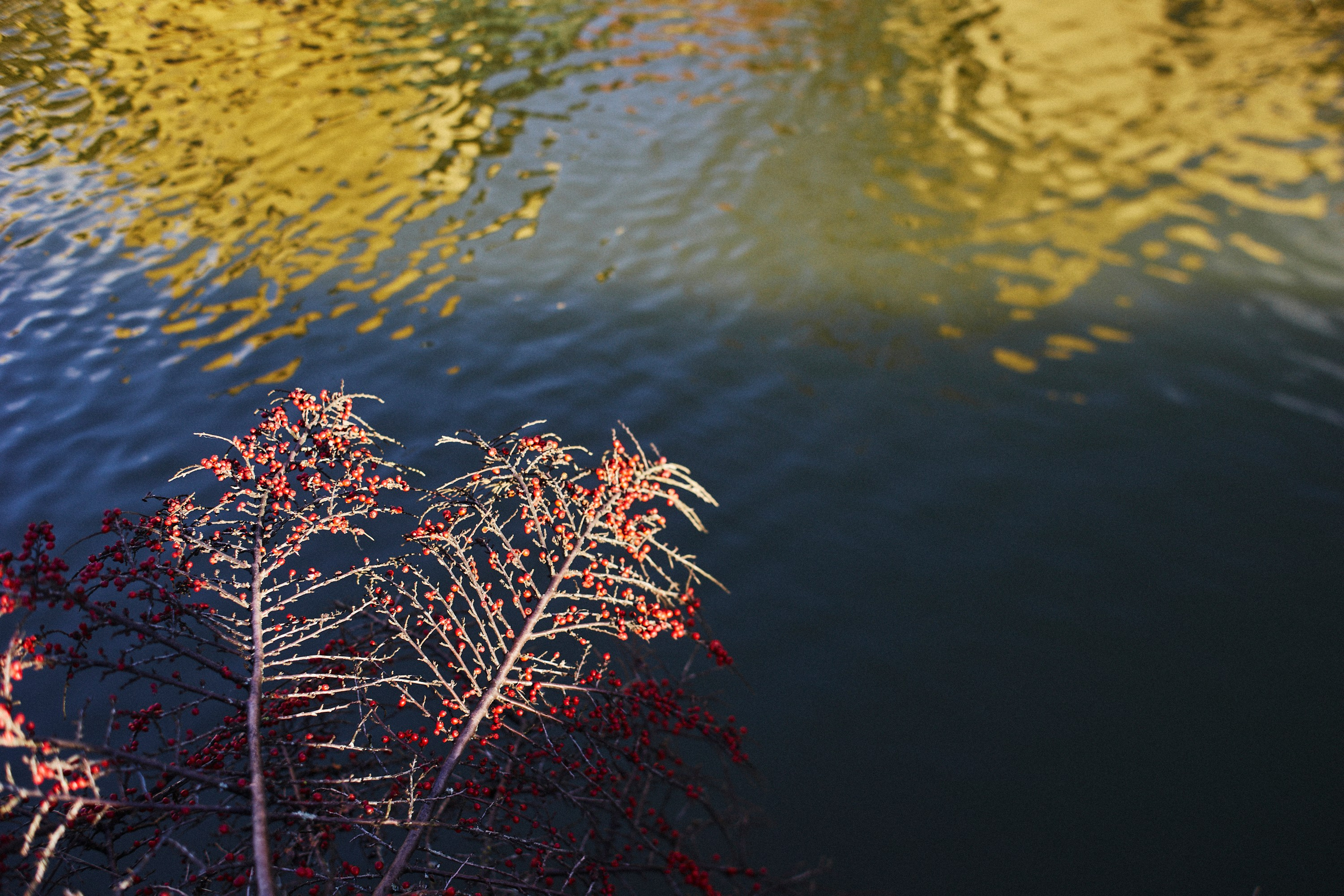 Frederiksværk i februar. Vutitsa