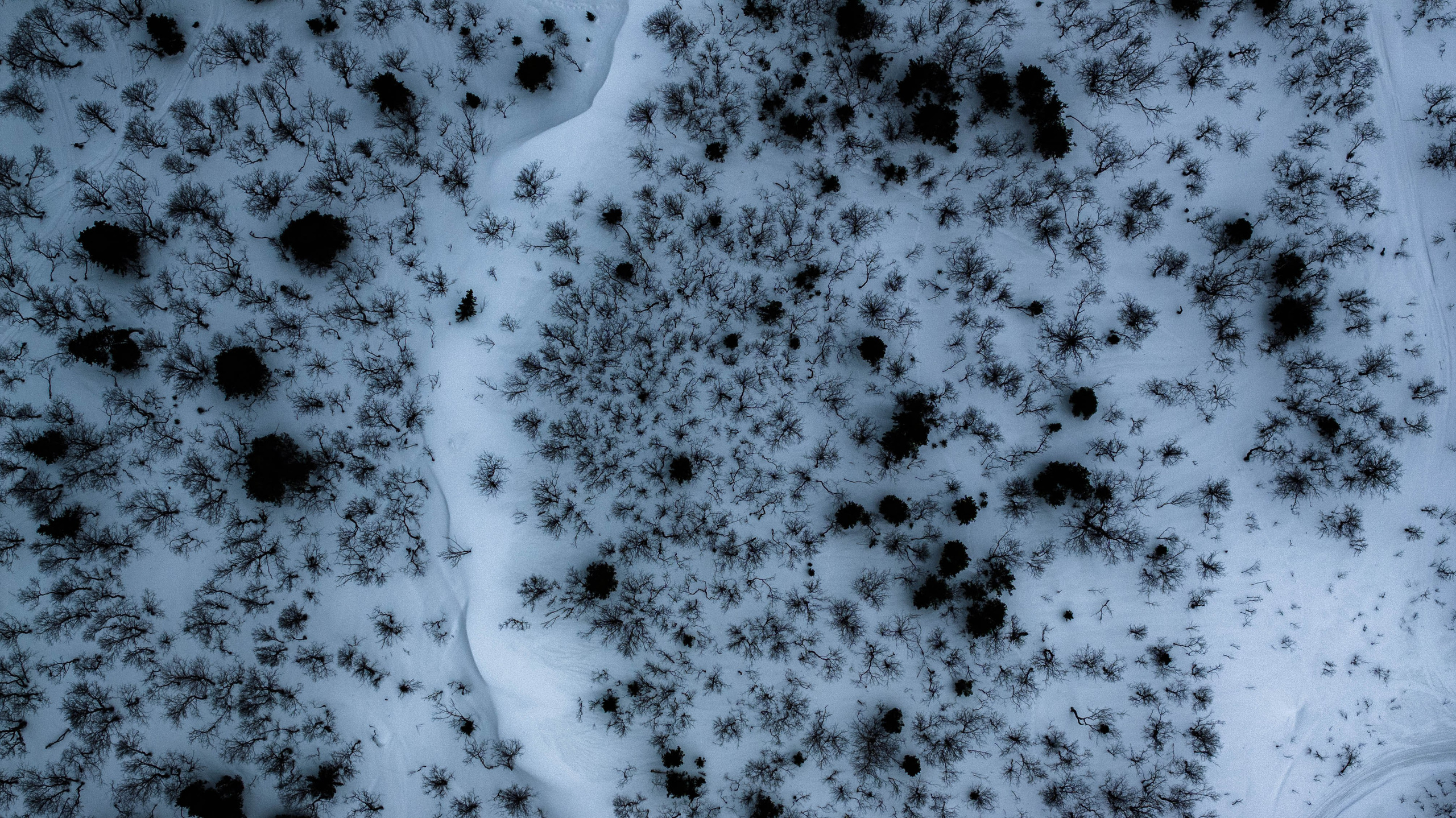 Обновление 22 мая 2024 года. Турист оптимист