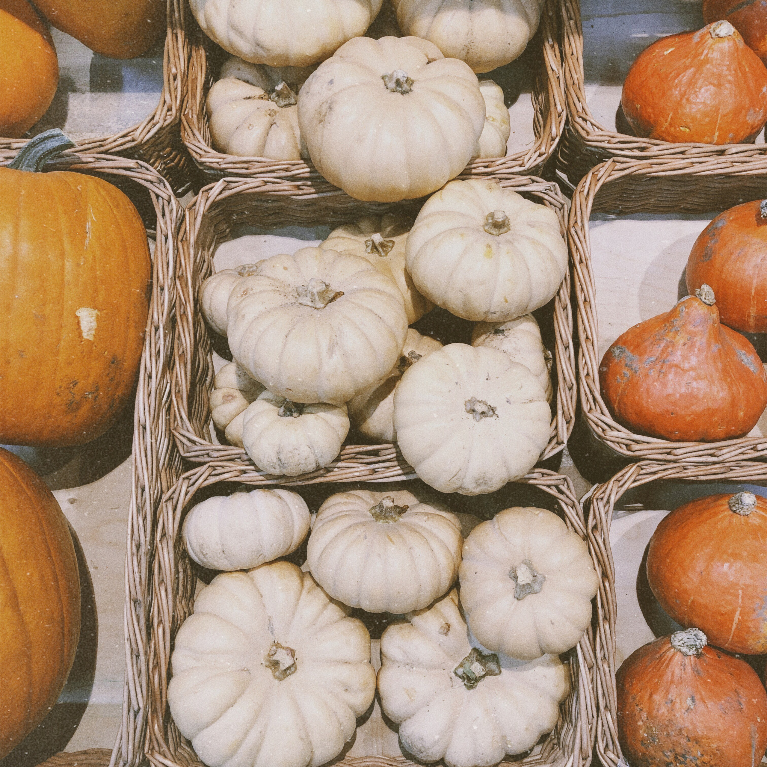 Визуальный дневник. Портретный фотограф в Москве Гахраманова Екатерина