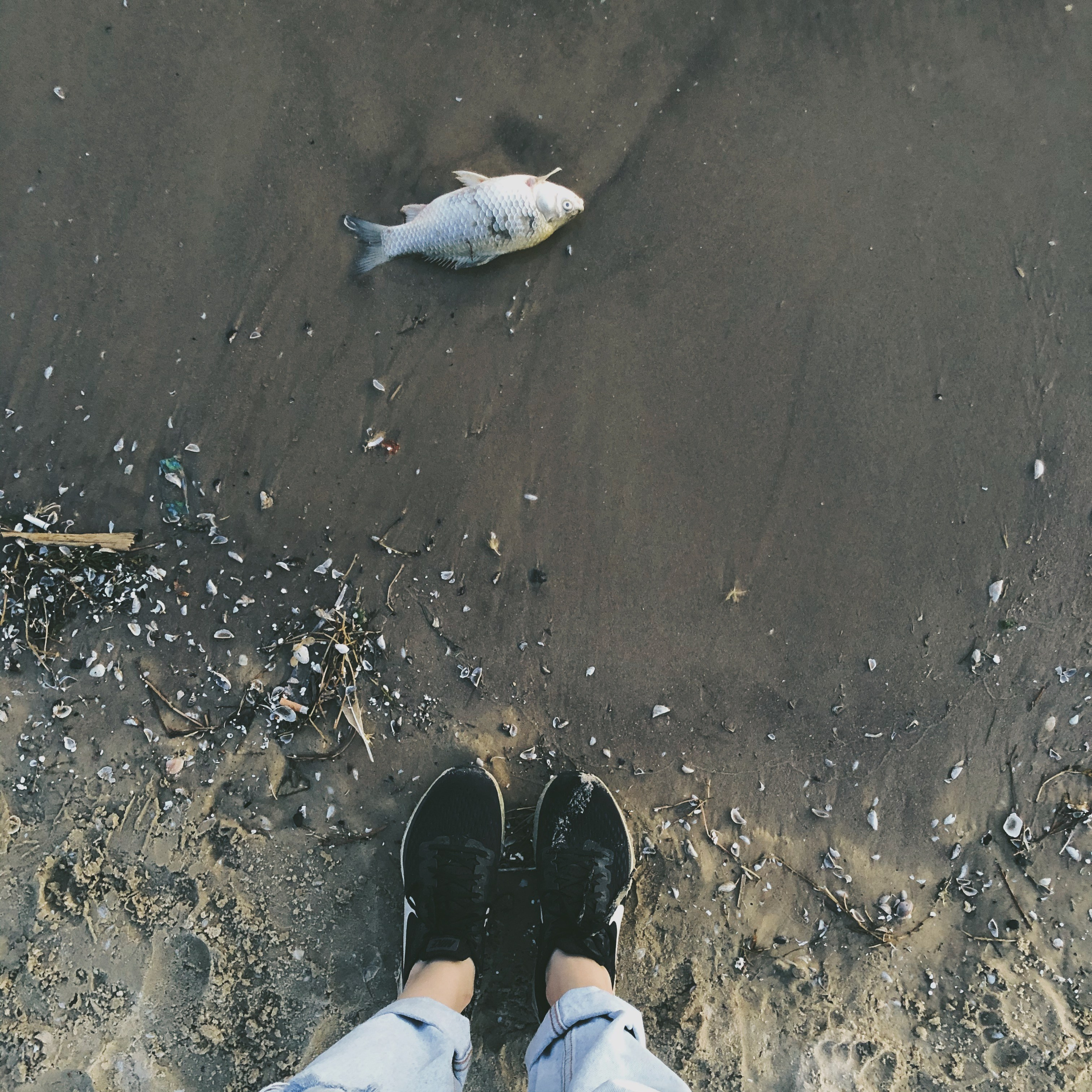 Визуальный дневник. Портретный фотограф в Москве Гахраманова Екатерина