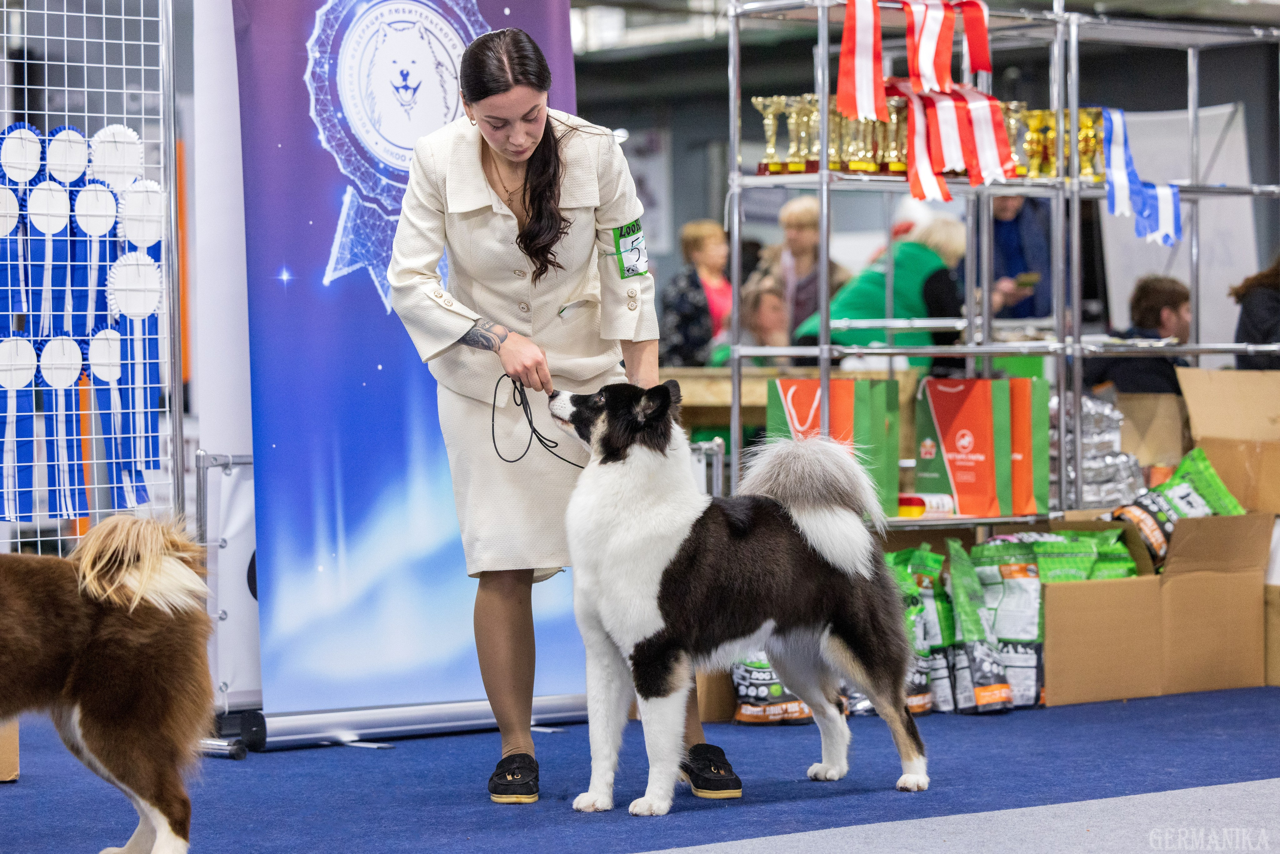 Крокус 10.02,Сфера 11.02.2024. Фотограф-анималист Юлия Германика