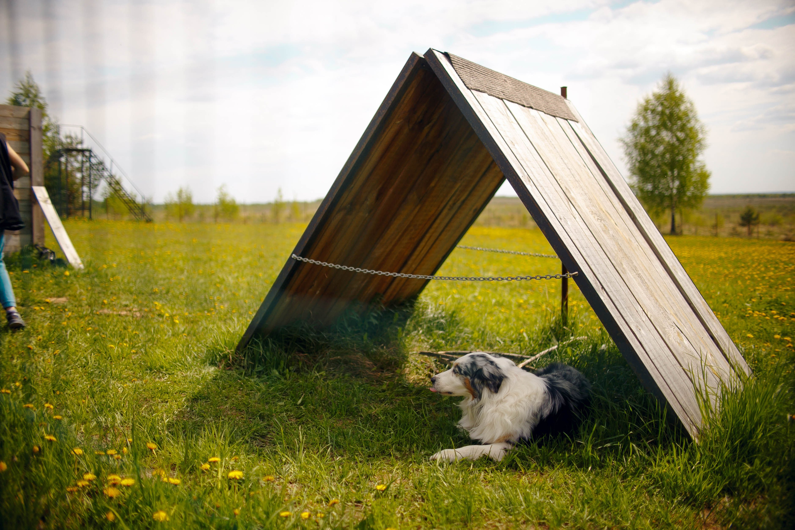 Фестиваль «Пастушьи забавы». Ваш репортажный фотограф Артемий Антонов