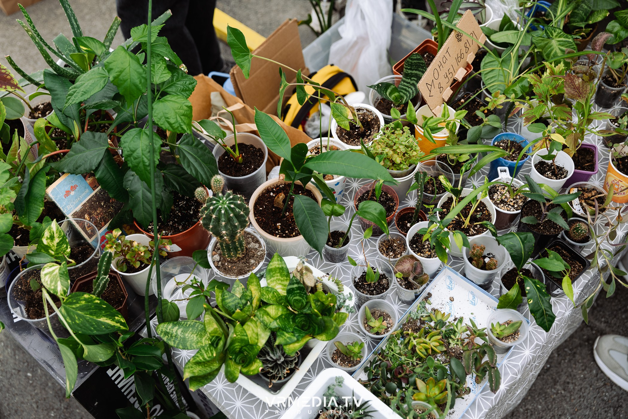 Традиционный летний базар и гараж-сейл