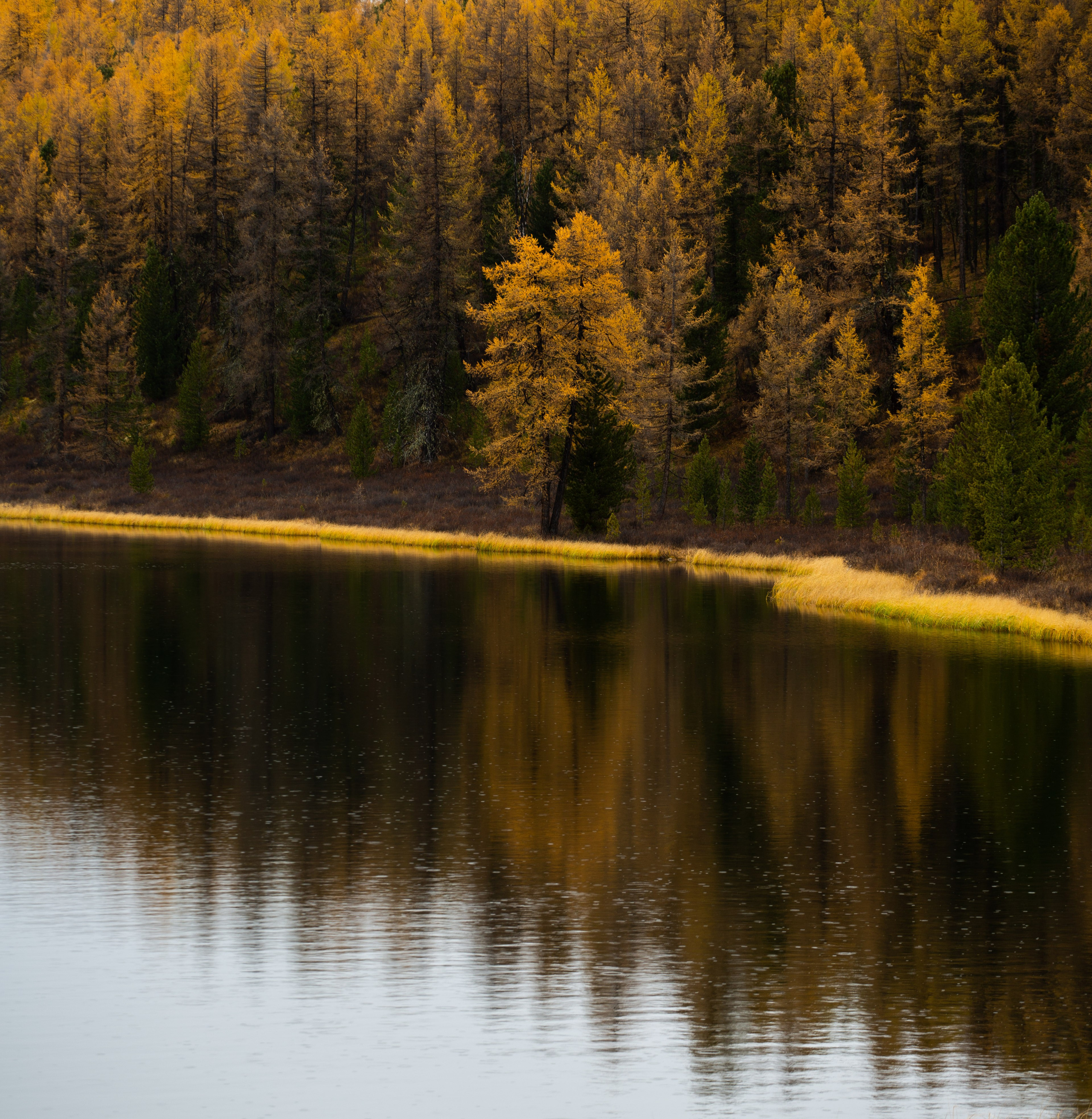 Россия. Алтай. Добродеева Алла фотограф, Москва