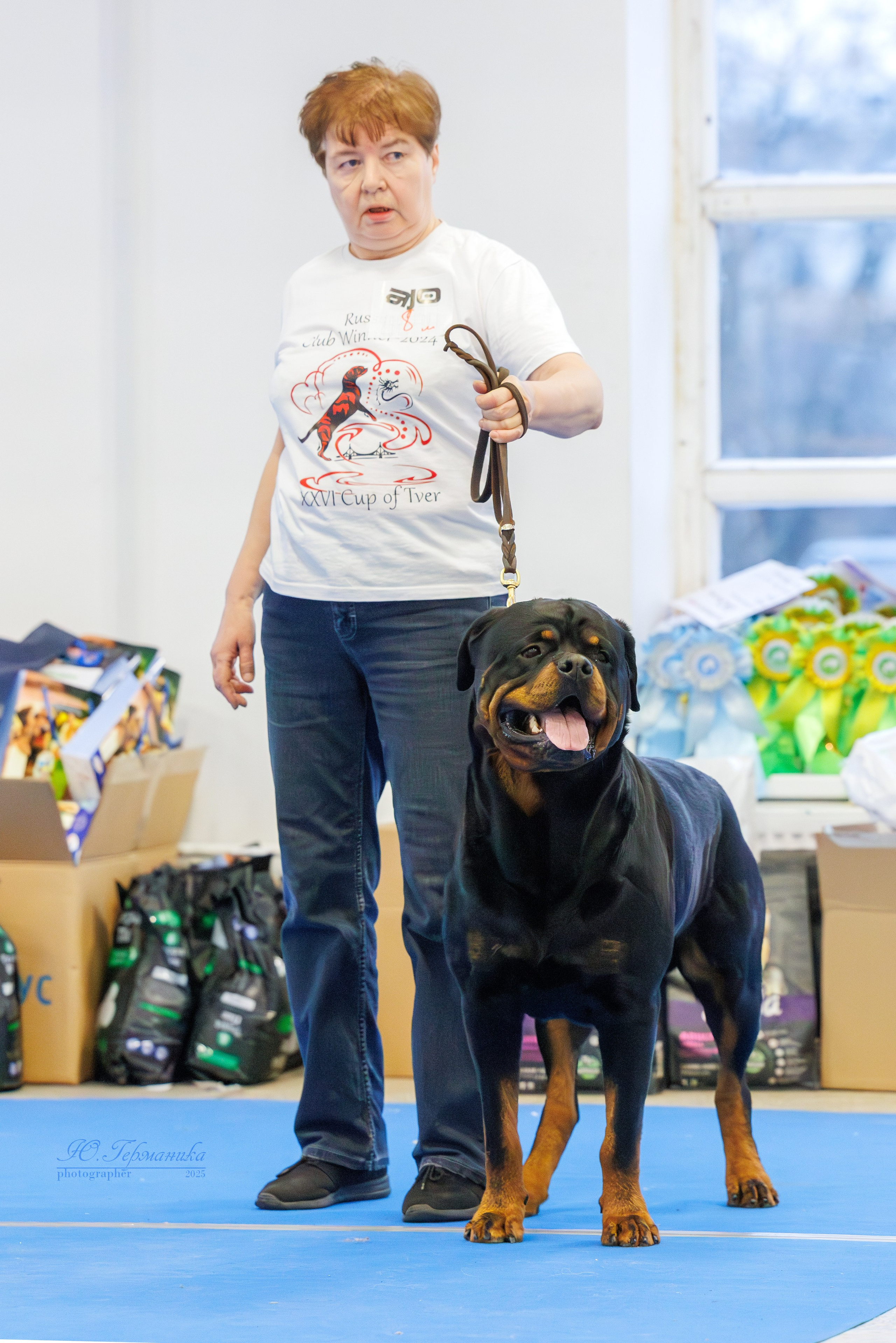 Питер ротвейлеры 18.01,Крокус 19.01.2025. Фотограф-анималист Юлия Германика