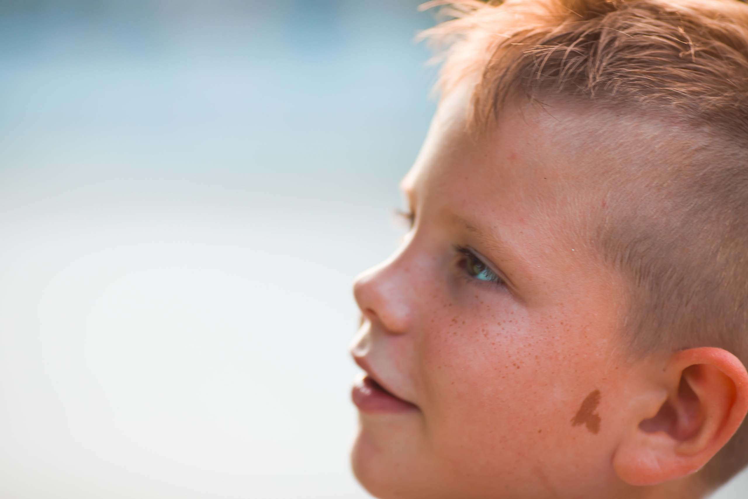 Свадьба.Ла Грейс. Дизайн интерьера Керчь, дизайнер интерьера Еремина Мария Керчь, Симфер