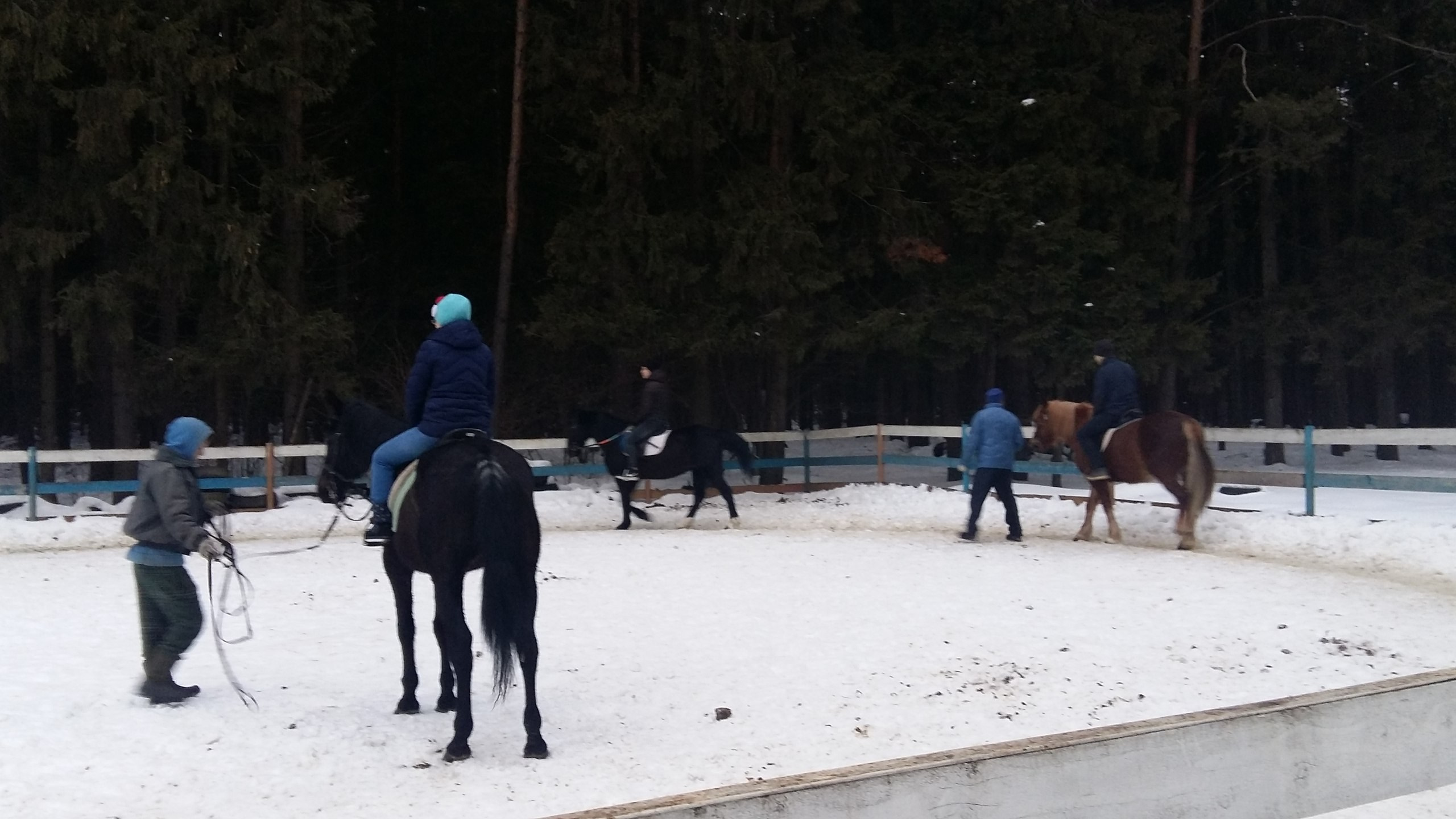 Активные выходные |18-19.02.2017. Галерея Фантим