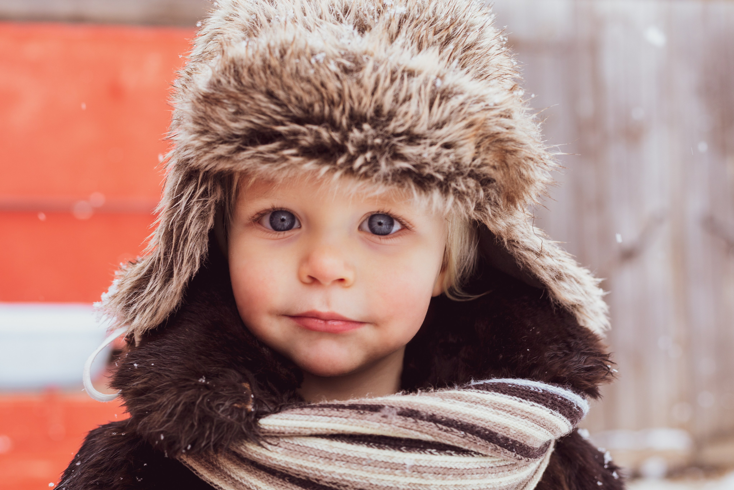 Зимняя сказка. Предметный и репортажный фотограф в Санкт-Петербурге Александр Е