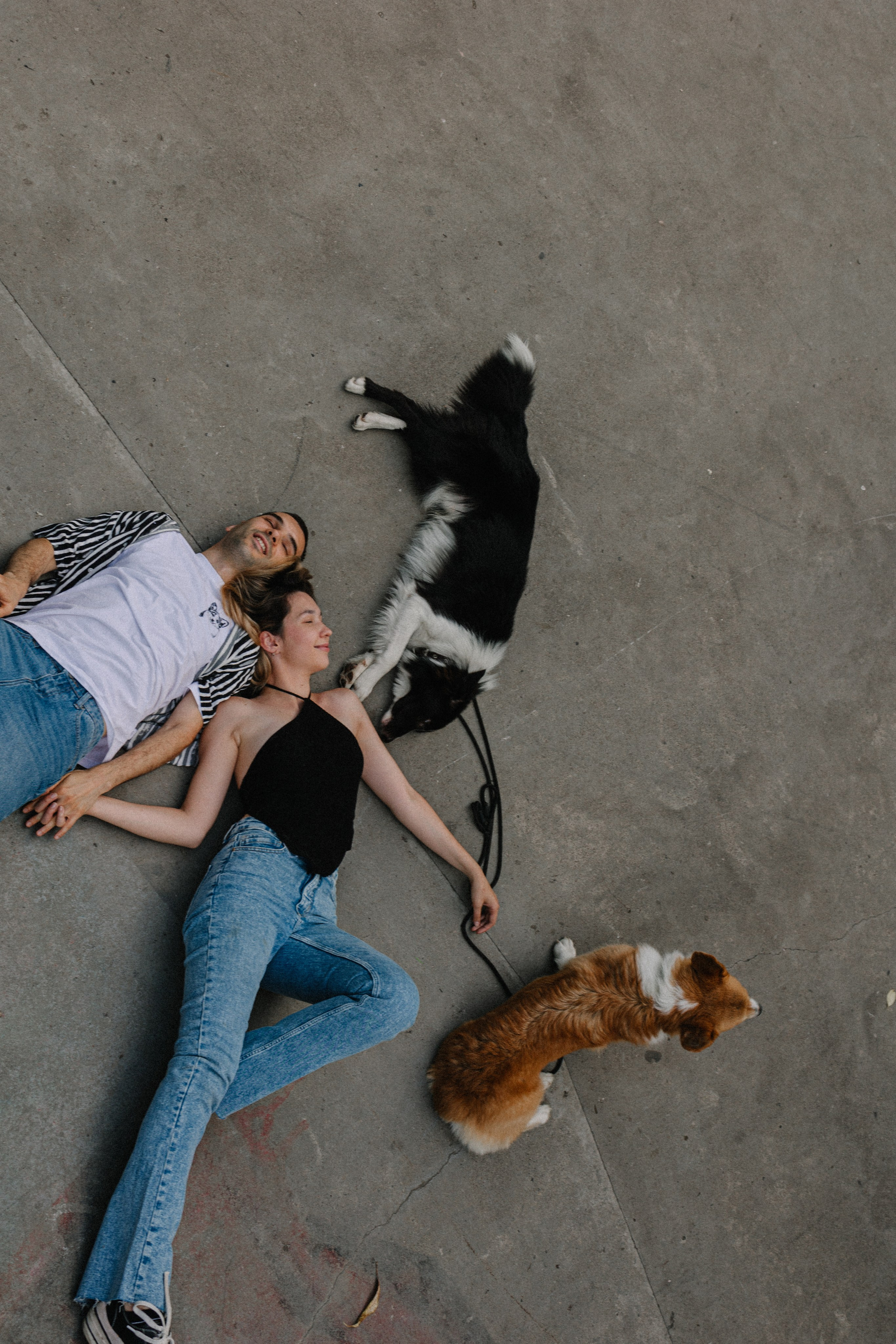 Брюс, Вейв и их ро. Фотораф — анималист Мария Шистка