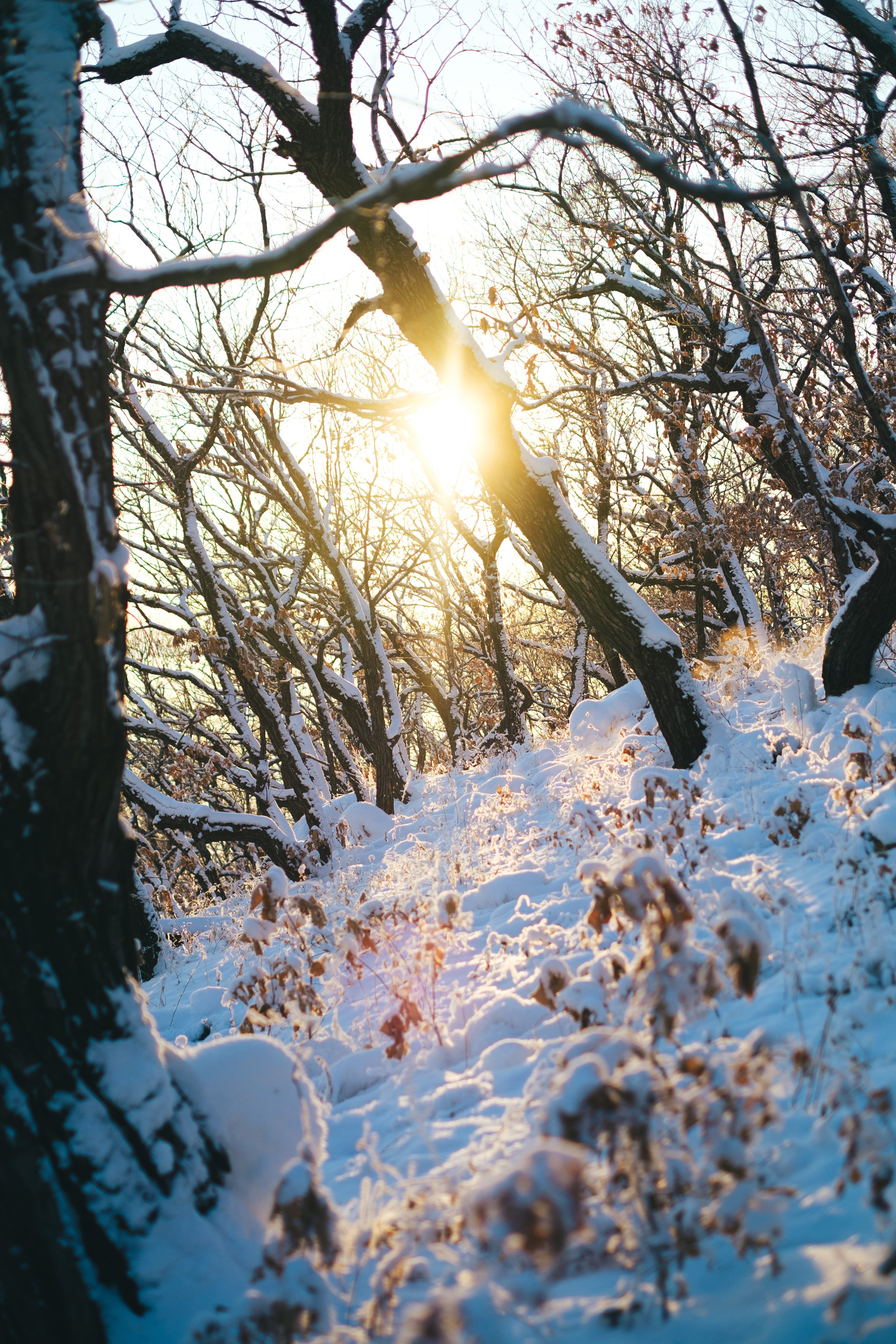 Бурейский тур. Фотограф Благовещенска Яна
