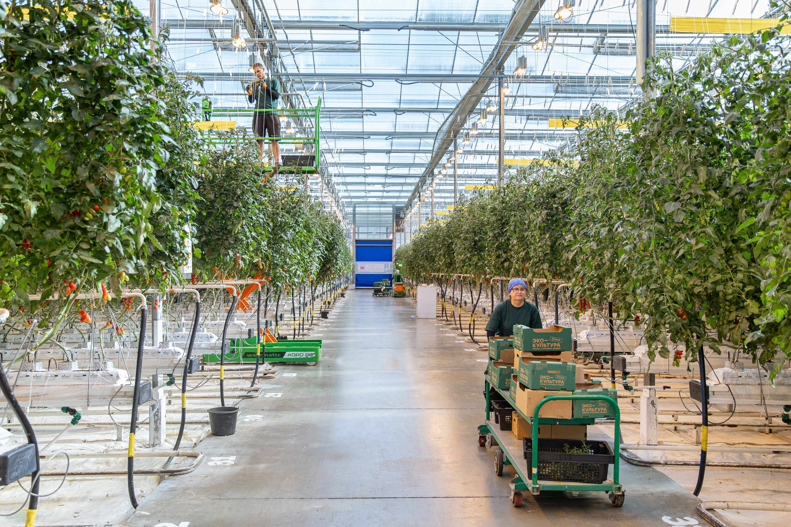 Производство. Фотограф Николай Петрушкин | Ставрополь, Москва