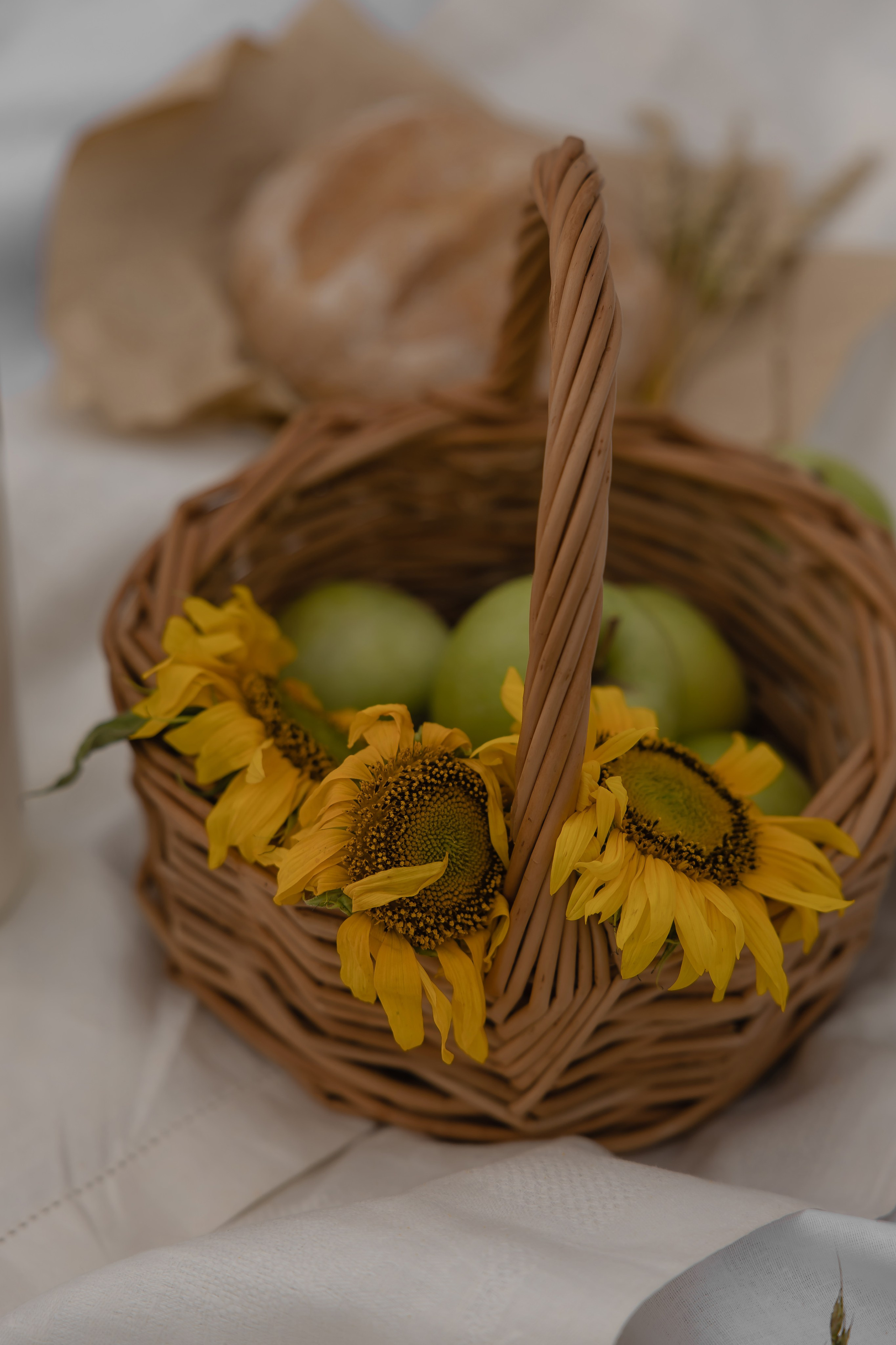 Даша. Свадебный и Семейный фотограф по всему миру Анна Фёдорова