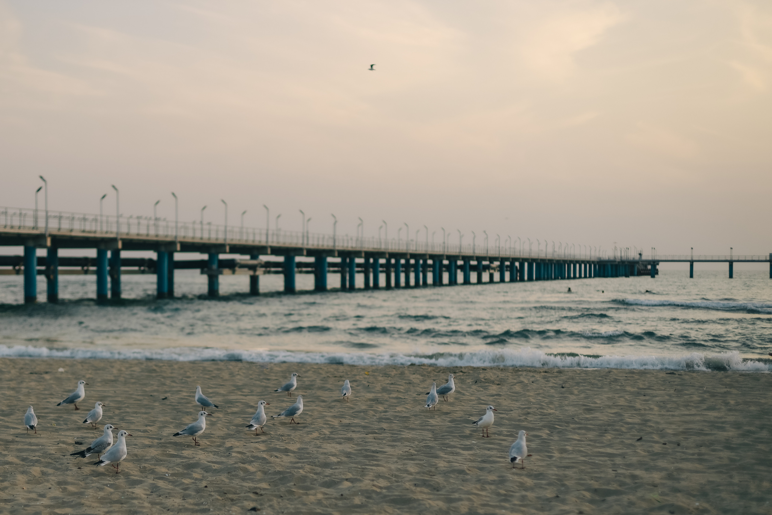 Анжелика и Дима. Семейный фотограф Анапа