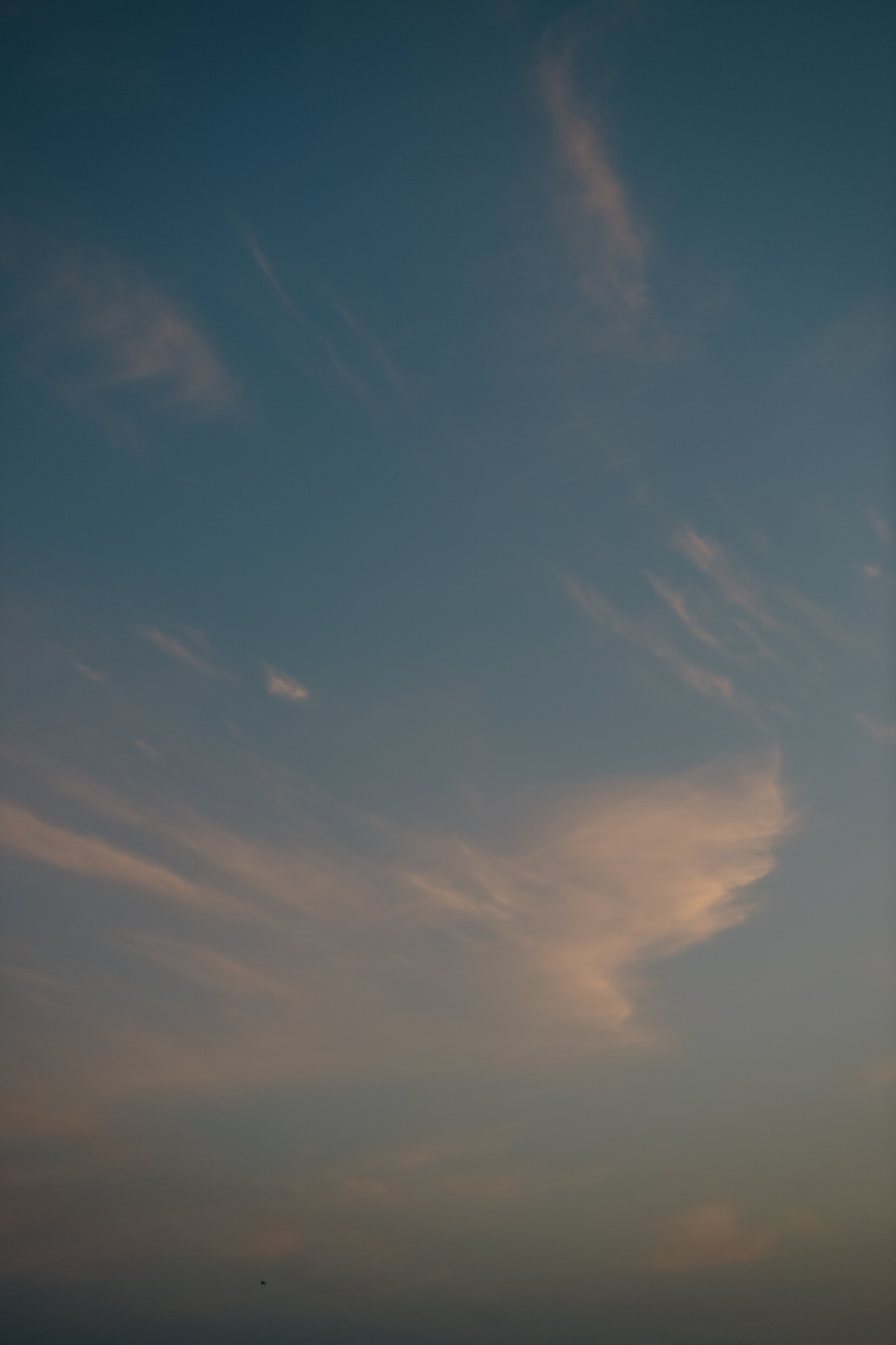 Анжелика и Дима. Семейный фотограф Анапа