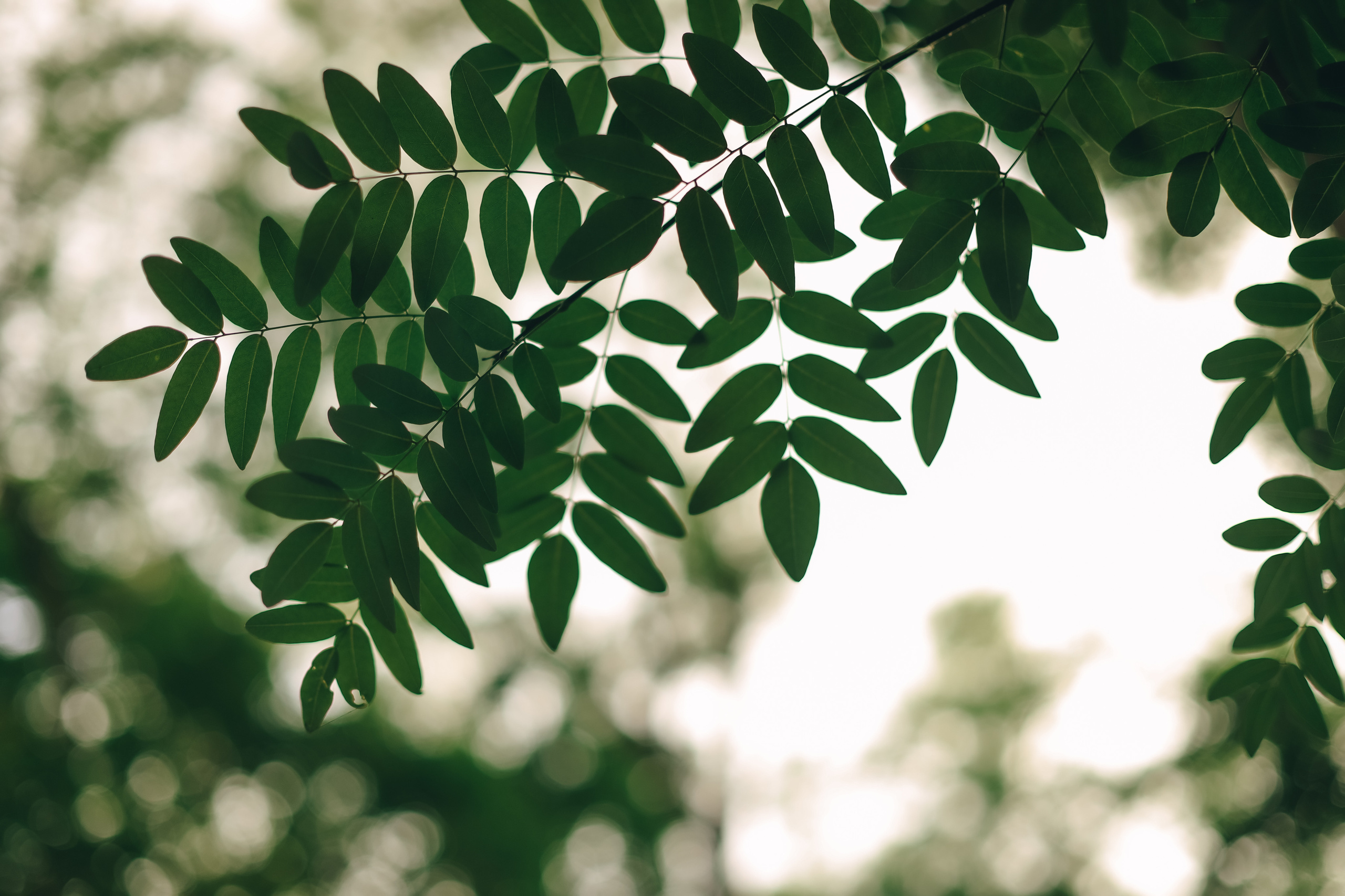 Надя и Анапа. Семейный фотограф Анапа