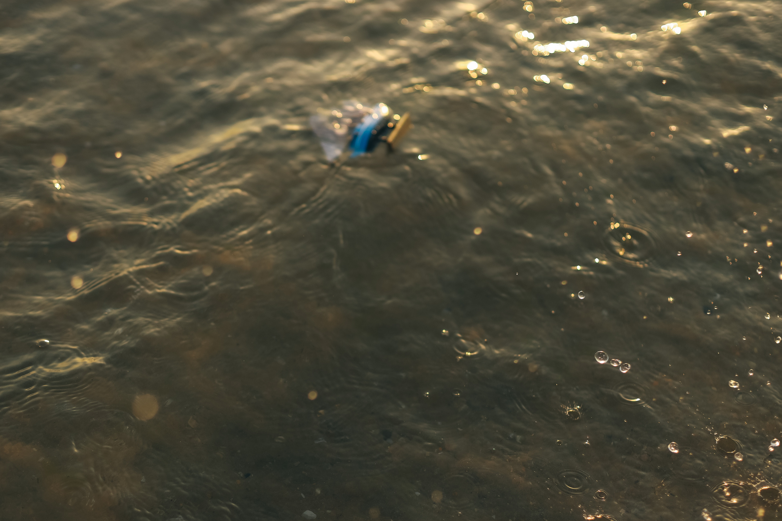 Анжелика и Дима. Семейный фотограф Анапа