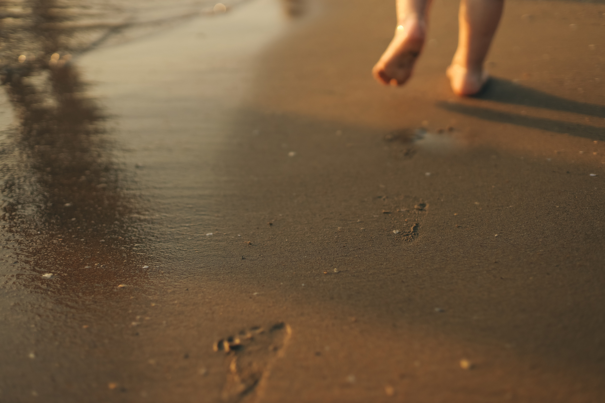 Анжелика и Дима. Семейный фотограф Анапа