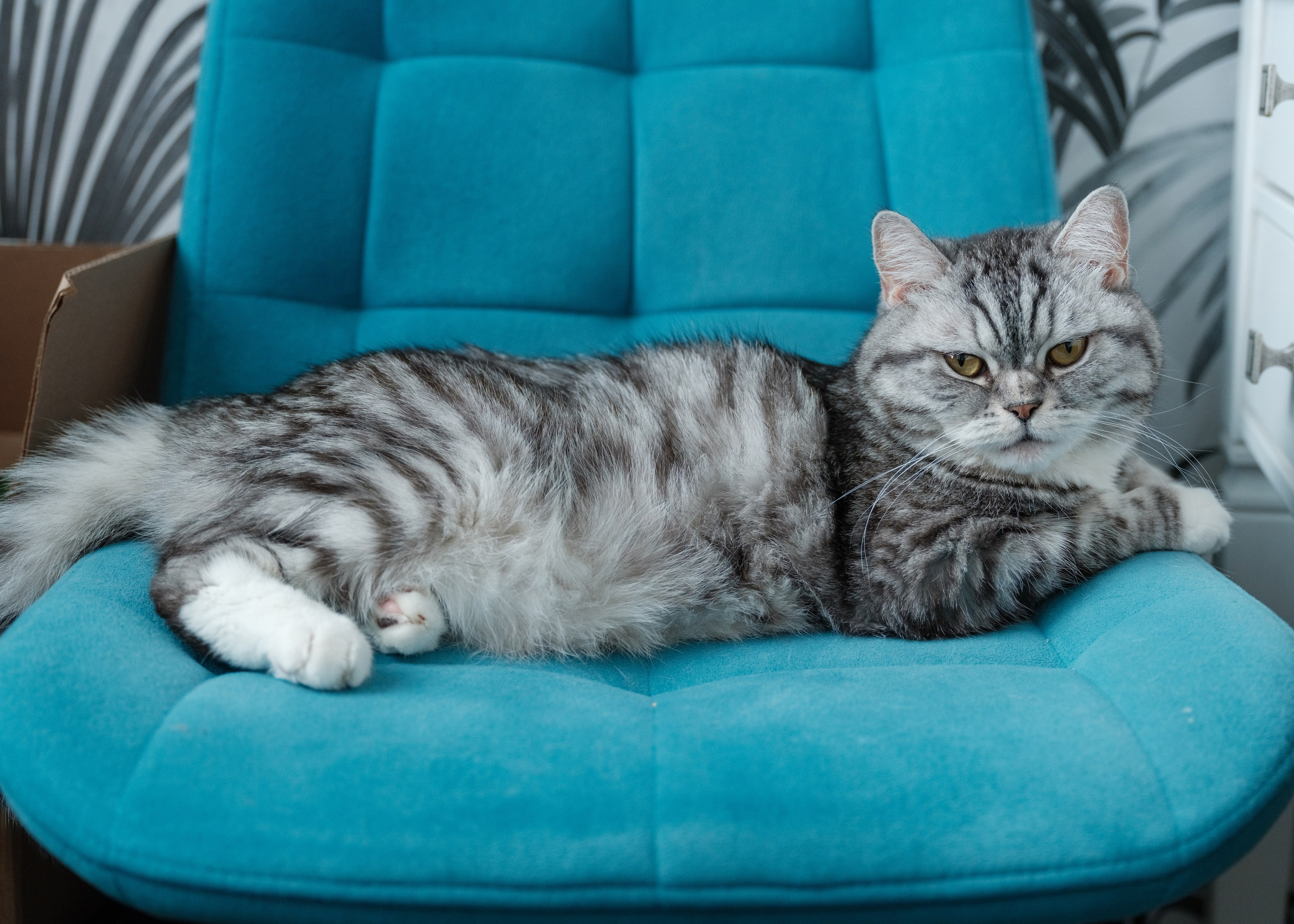 Солнечная семья. Фотограф Расим Римиев