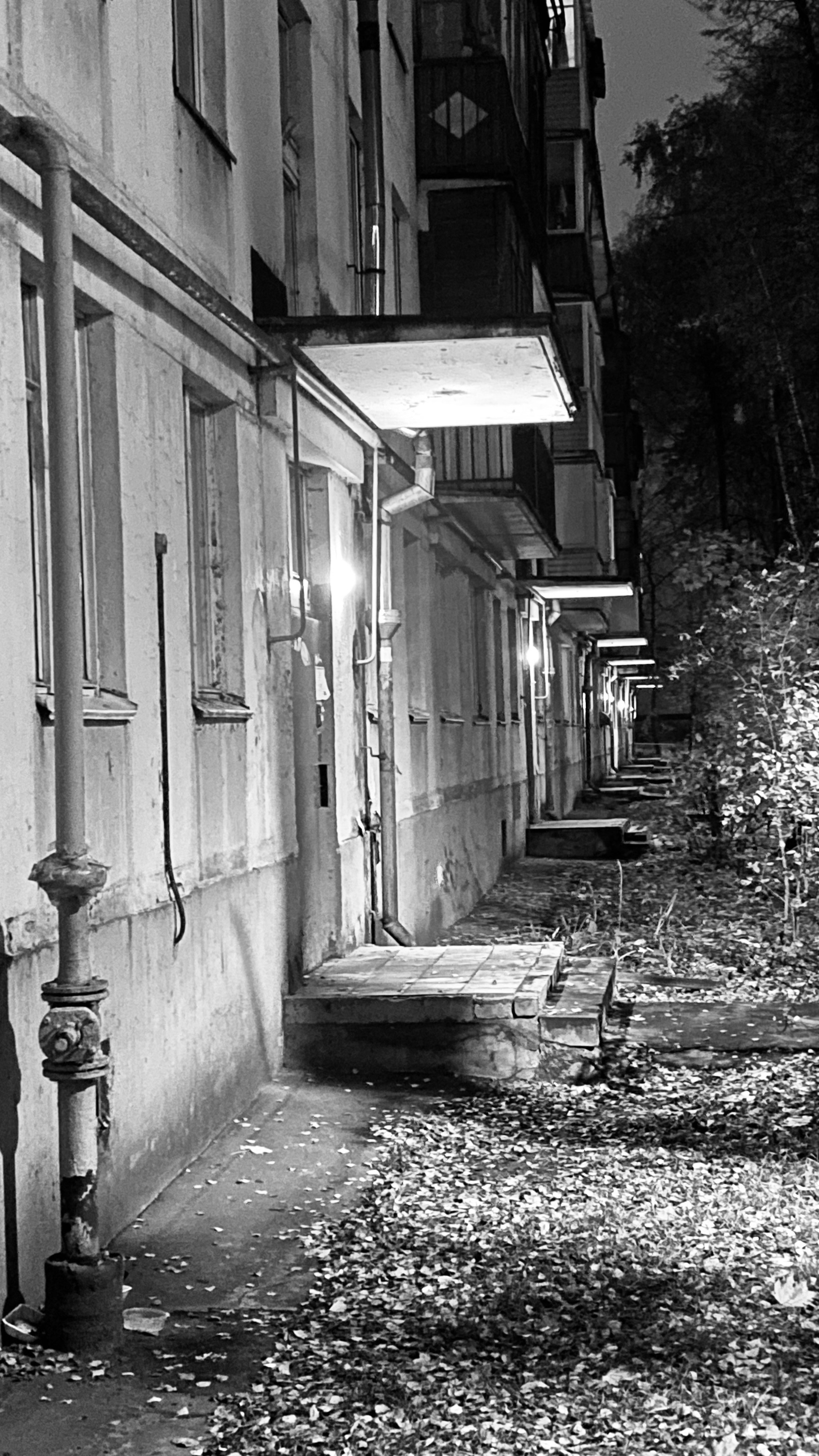 Мобильное фото. Фотограф в Москве Айгуль Евграфова