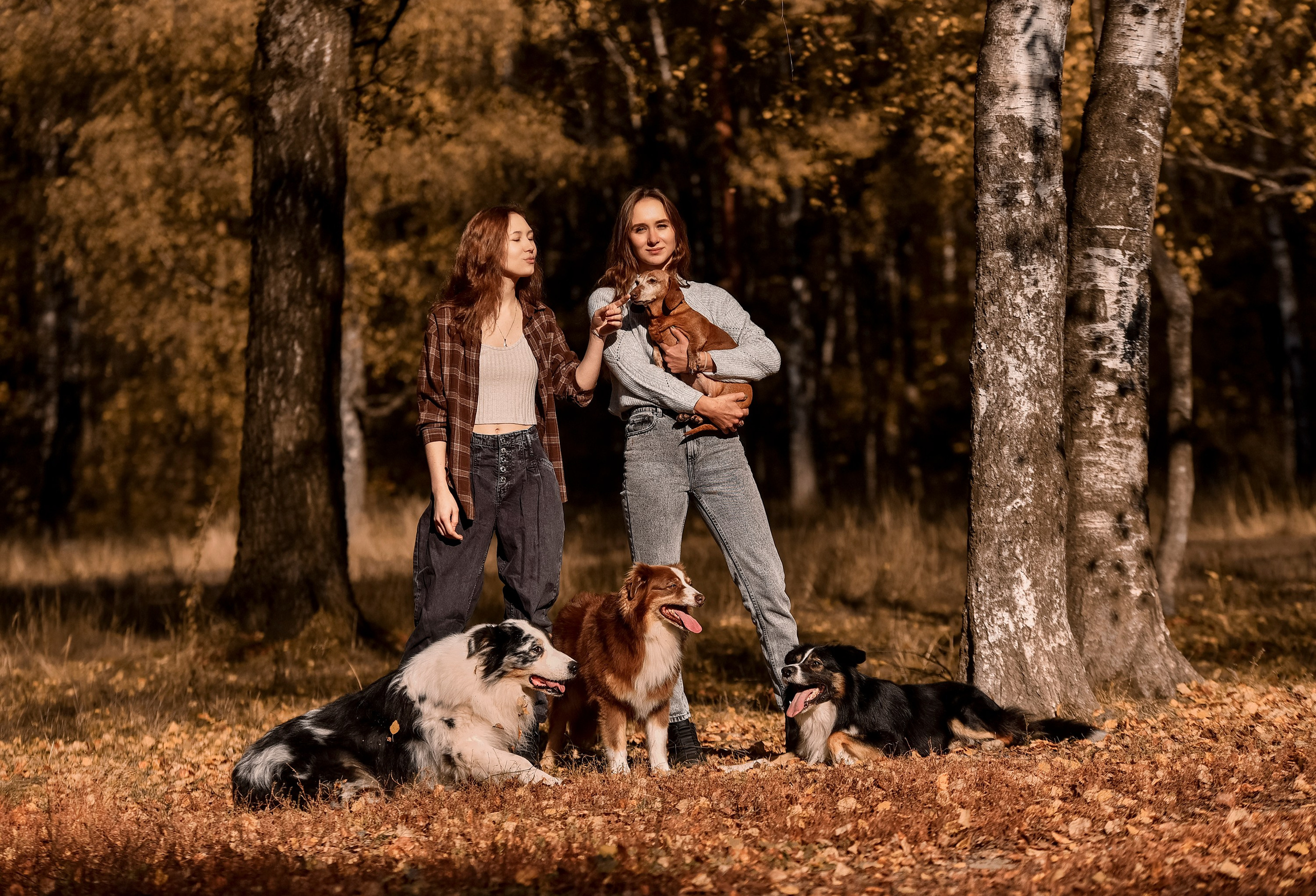 Фотопрогулка, семейная съемка, фотосессия с друзьями, фотосессия с питомцем, собака