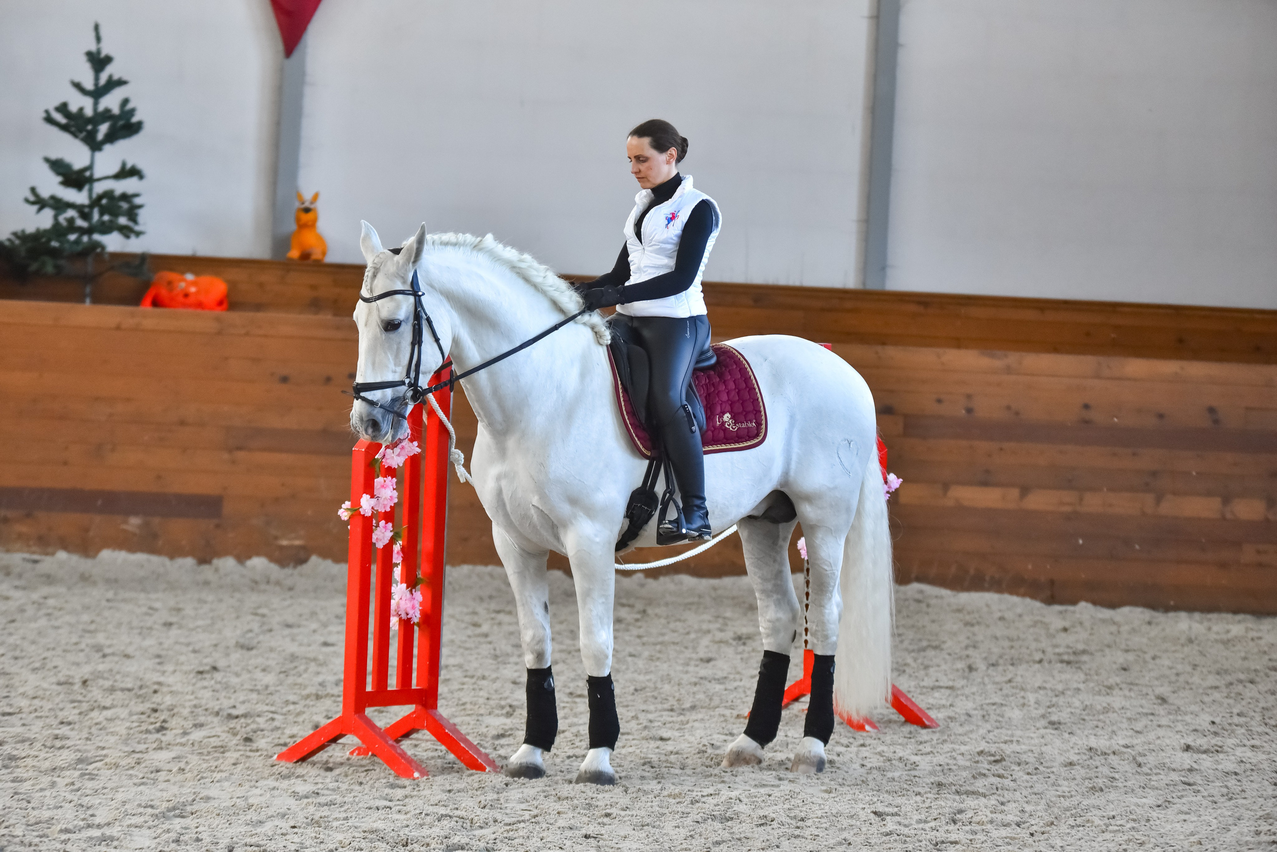 Репортажная съемка конных мероприятий. Конный фотограф из Москвы Ирина Бондаркова