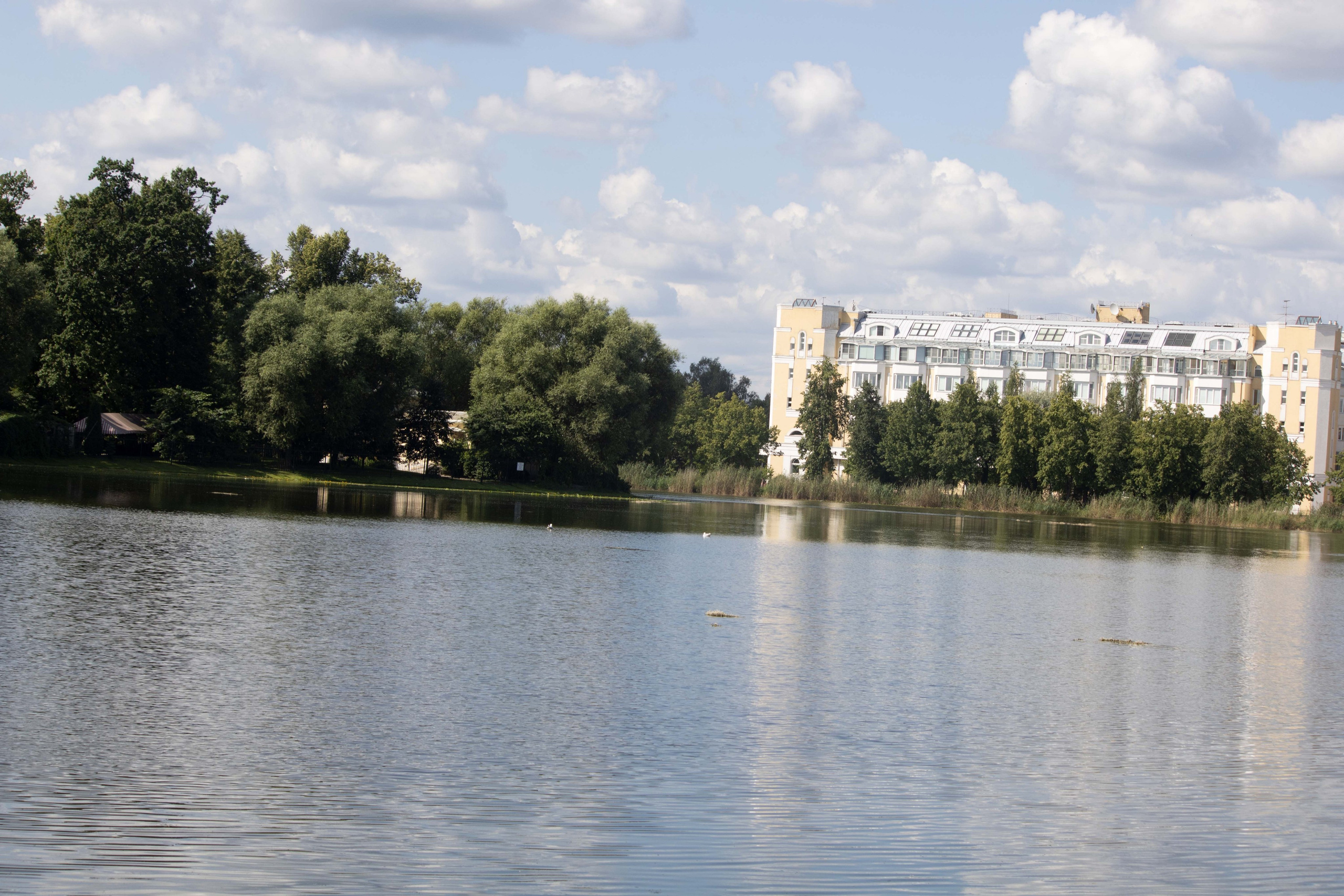 Ольгин пруд, Петергоф