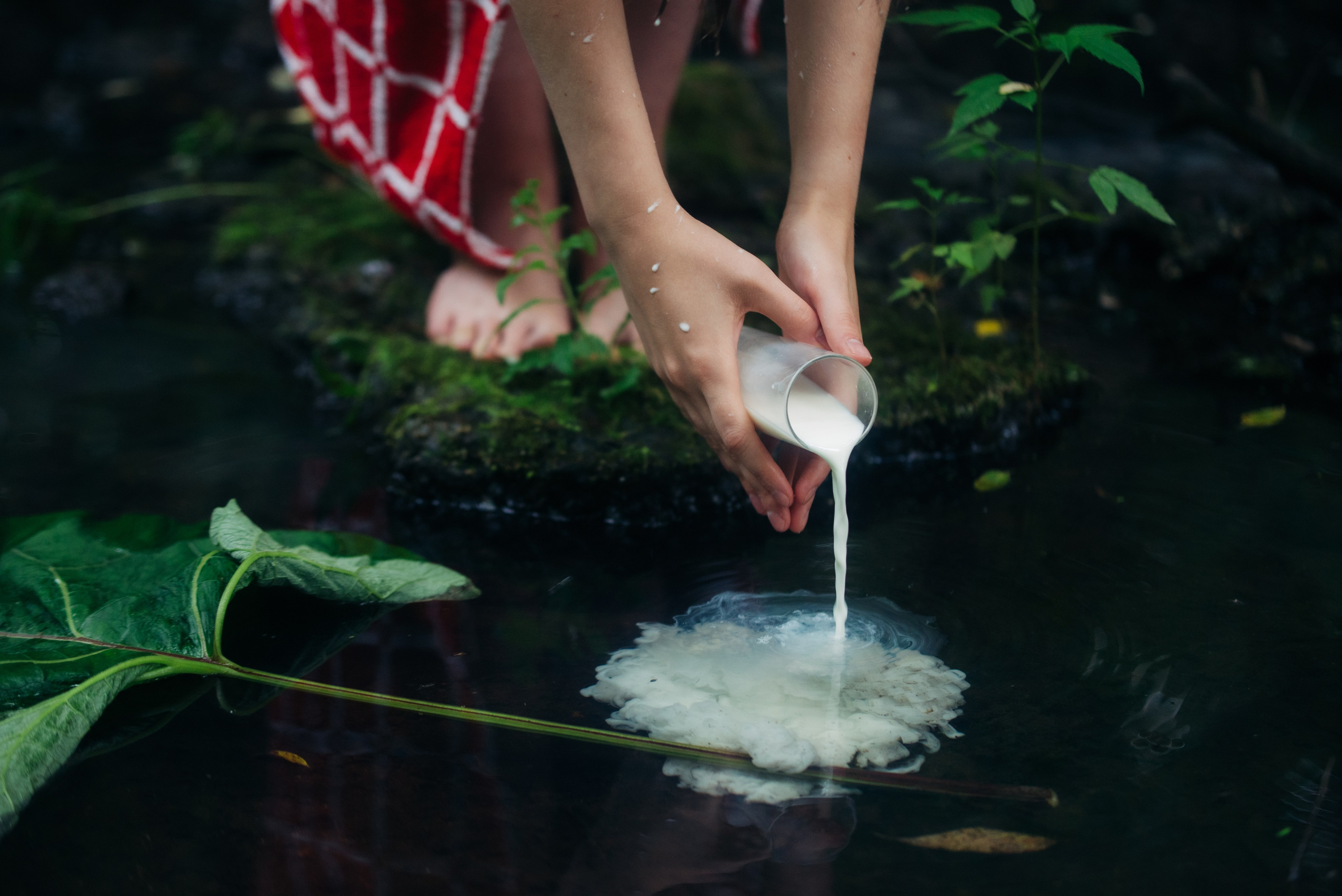 Красное на зелёном. Репортажный и портретный фотограф в Липецкой, Воронежской, Московской области Тёма Белоусов