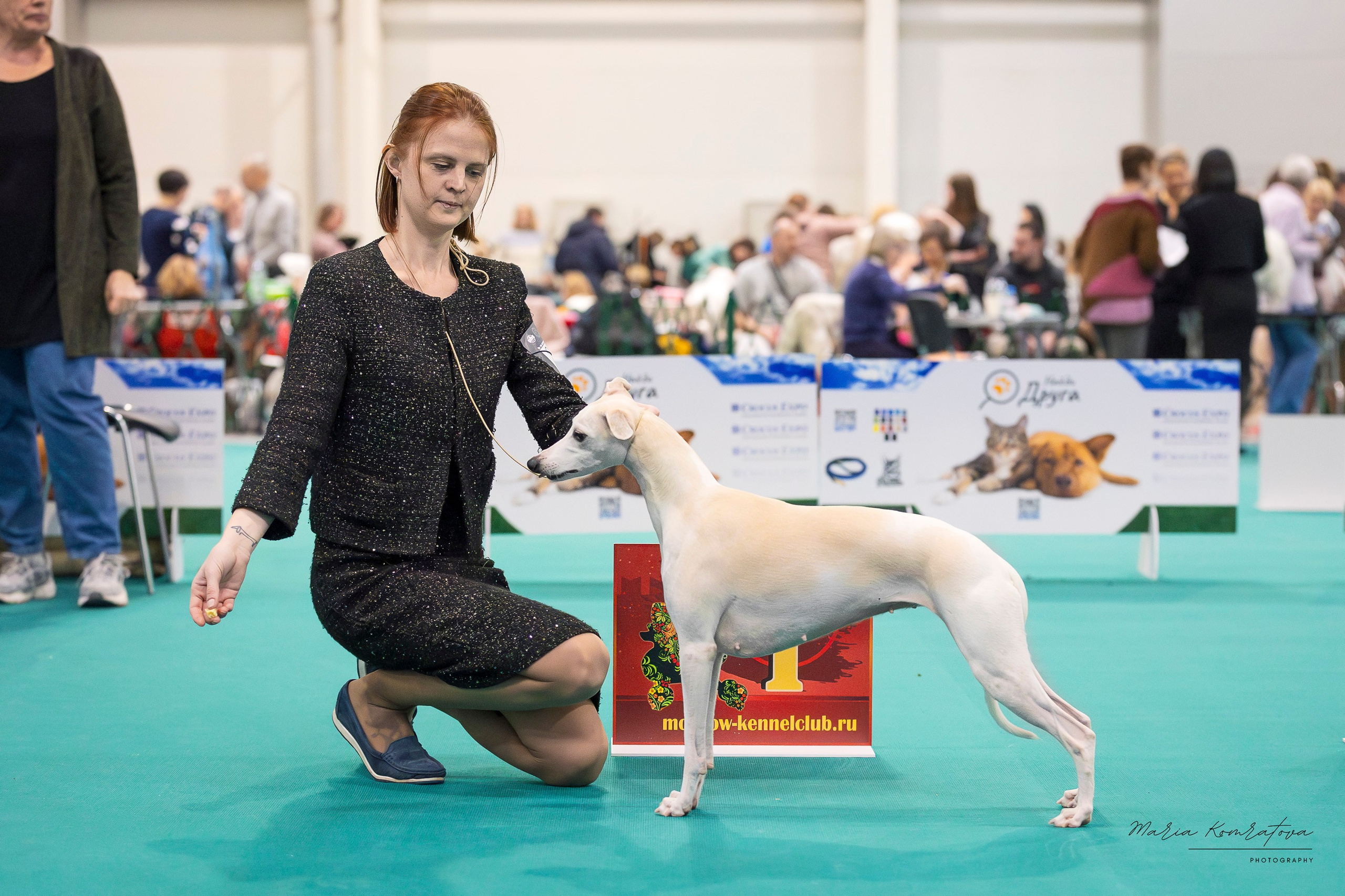 Крокус 10.02. Фотограф анималист, семейный фотограф, фотограф собак Комратова Мария. г. Москва