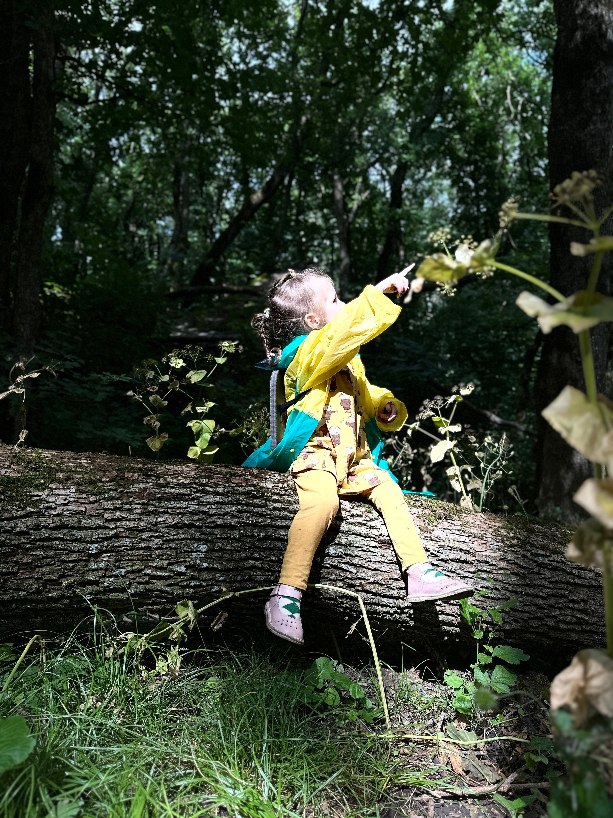 Дети. Смотри, красота!