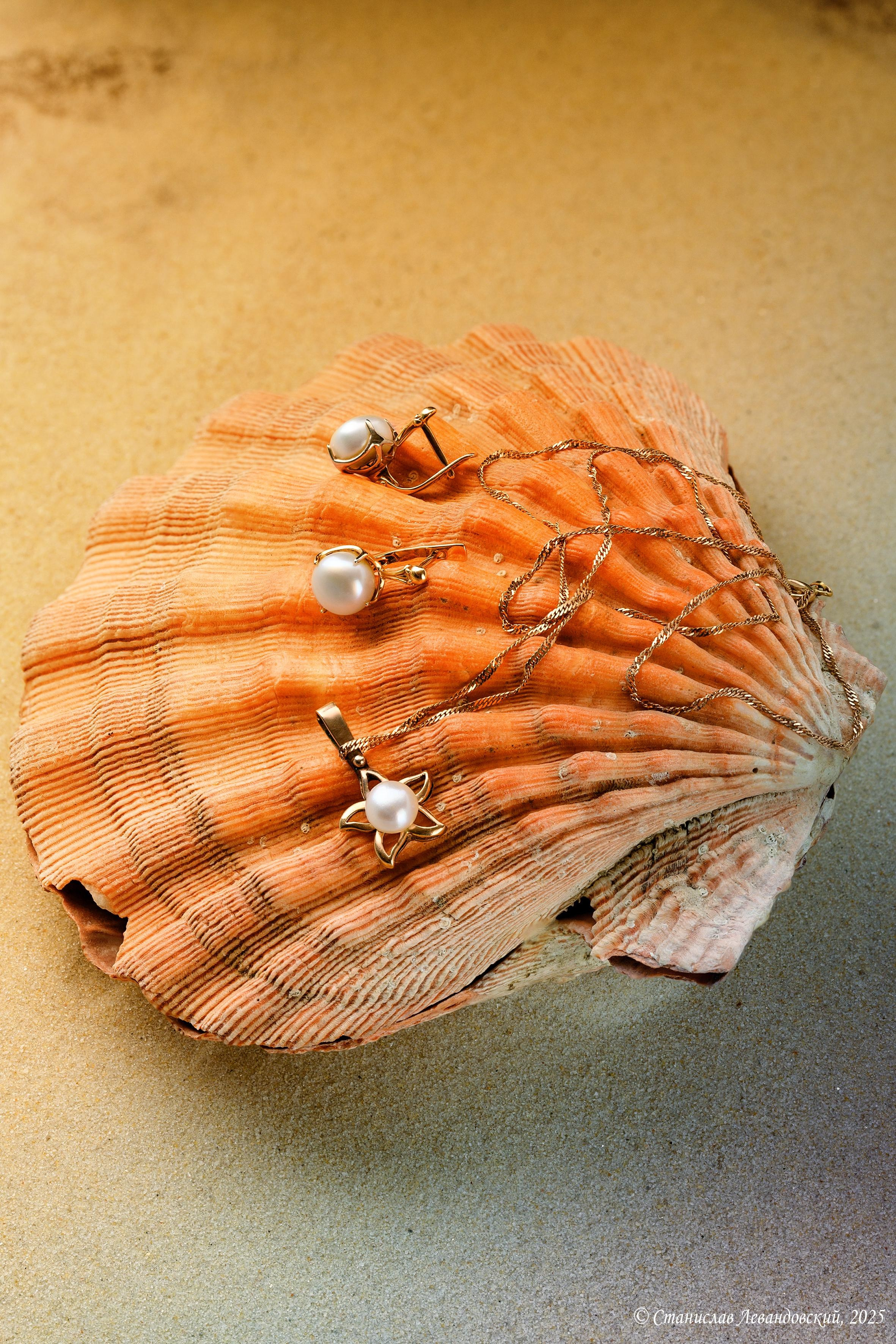 Предметы с глянцевой поверхностью. Предметный фотограф в Москве Станислав Левандовский