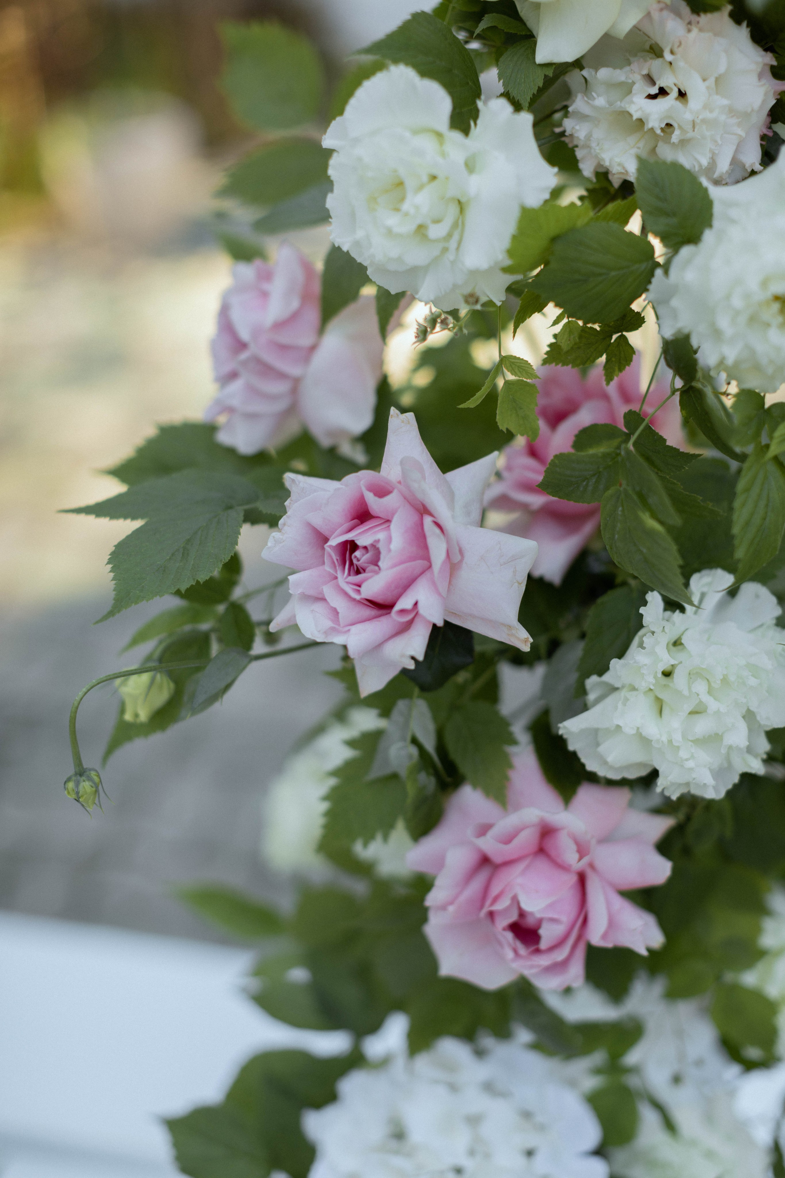 Марина | Владимир