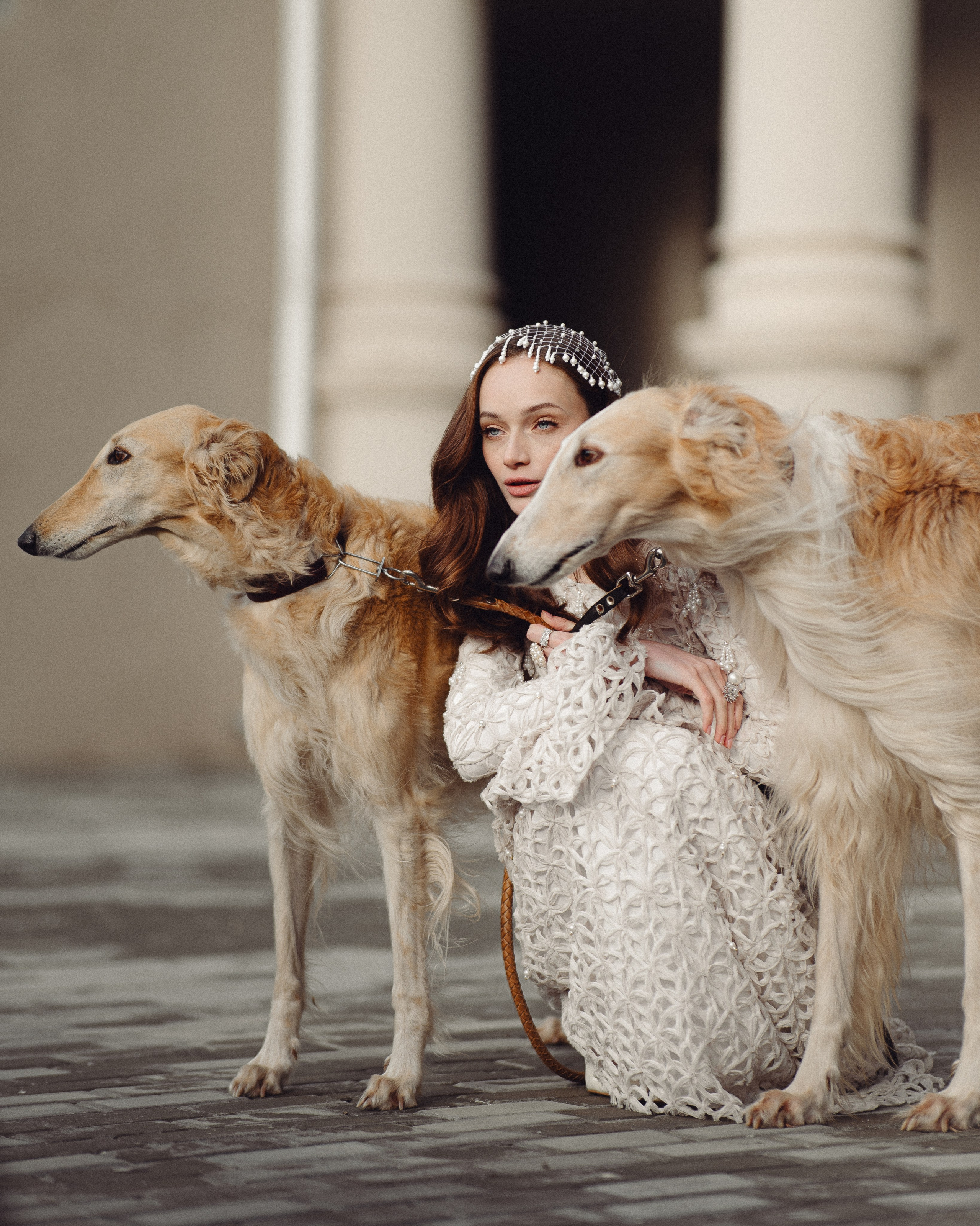 Свадебная история во дворце культуры с собаками