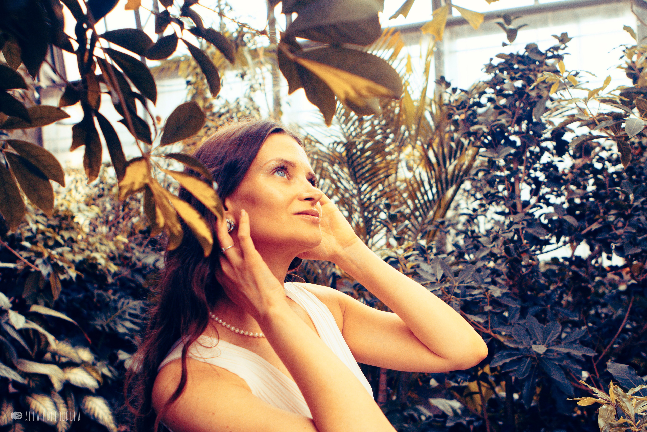 Фотодень в оранжерее Таврического Сада. Ваш фотограф в Санкт-Петербурге Анна Просвирина