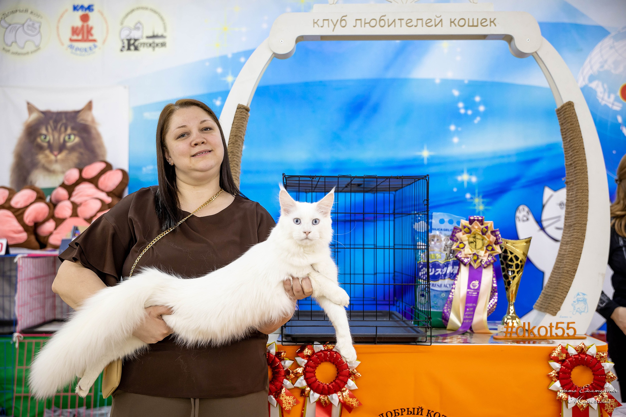 11–12 апреля — Интершоу — «Звездная Галактика Доброго Кота». Работаю со стендом. Фотограф-анималист в Омске Екатерина Маричева