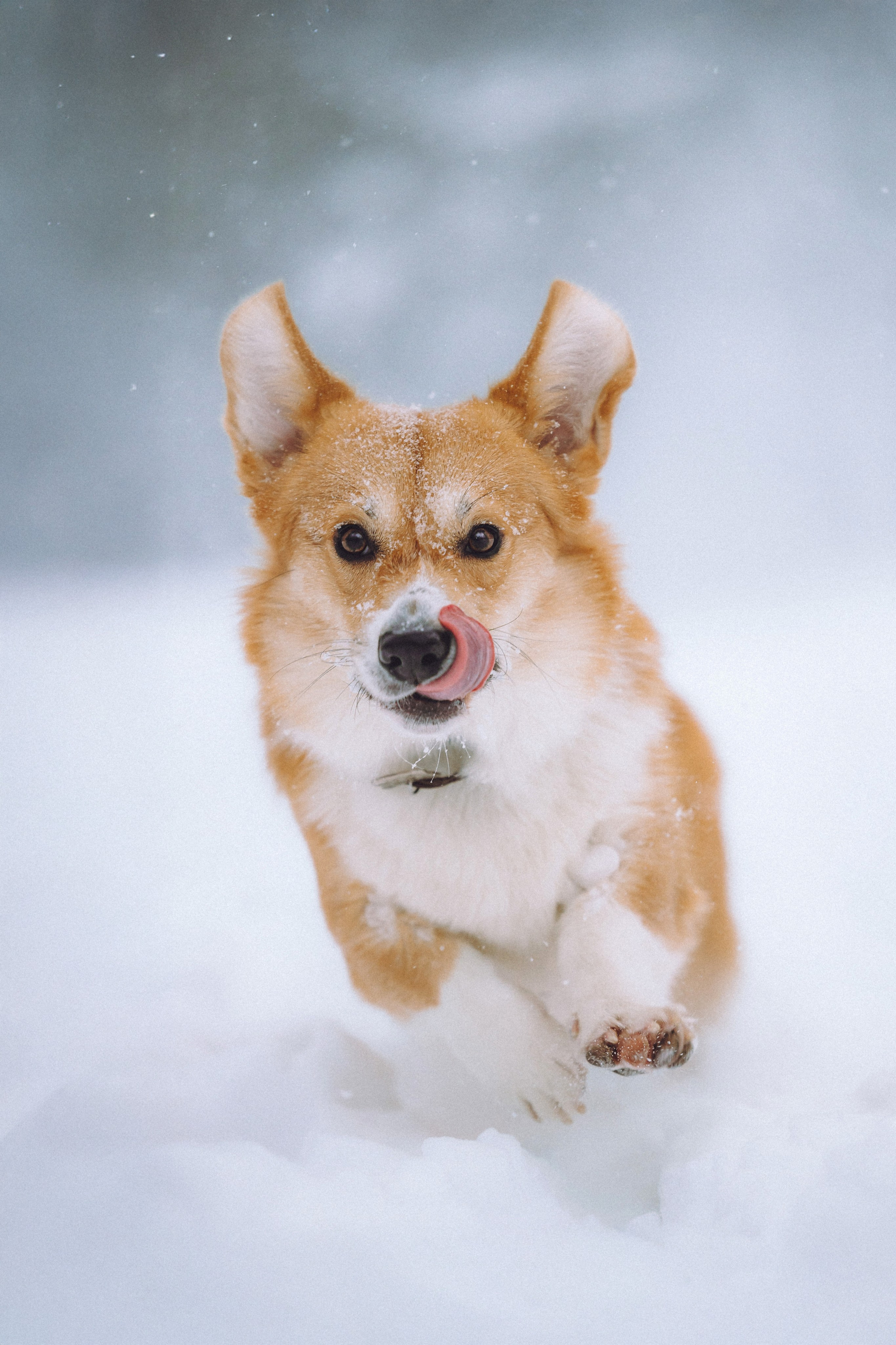 Юля и Юпитер