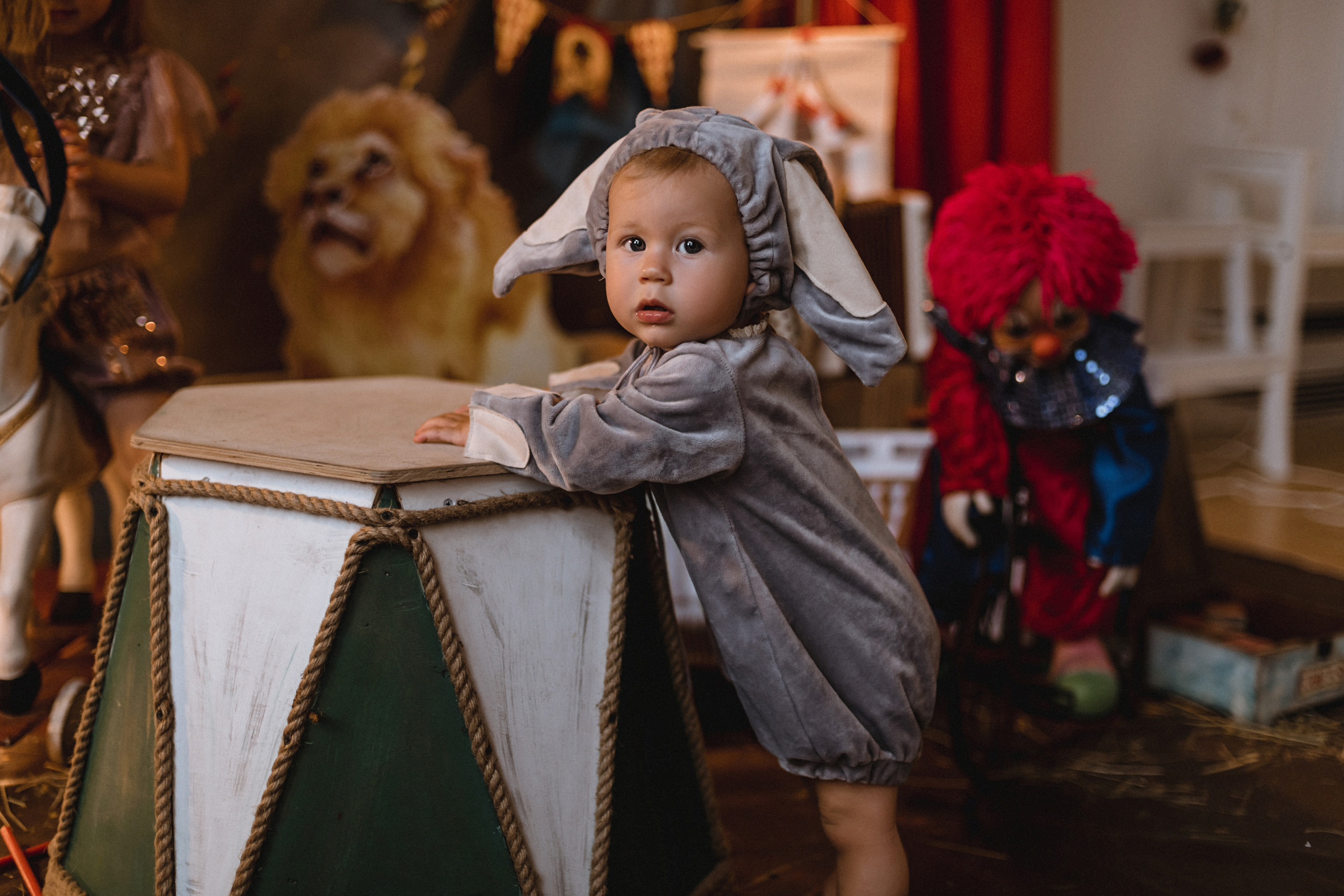 Проект «Цирк»